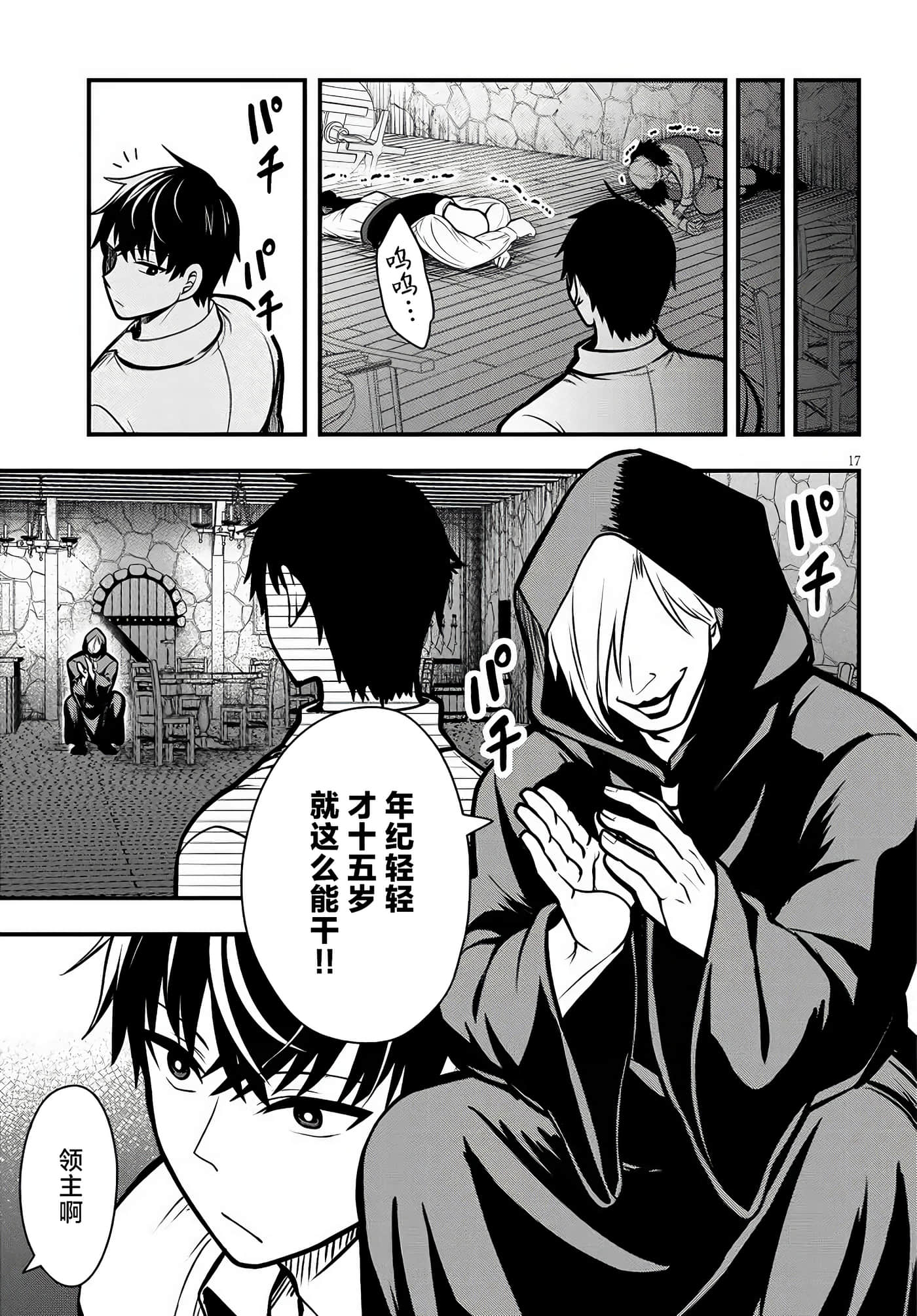 第 17 页