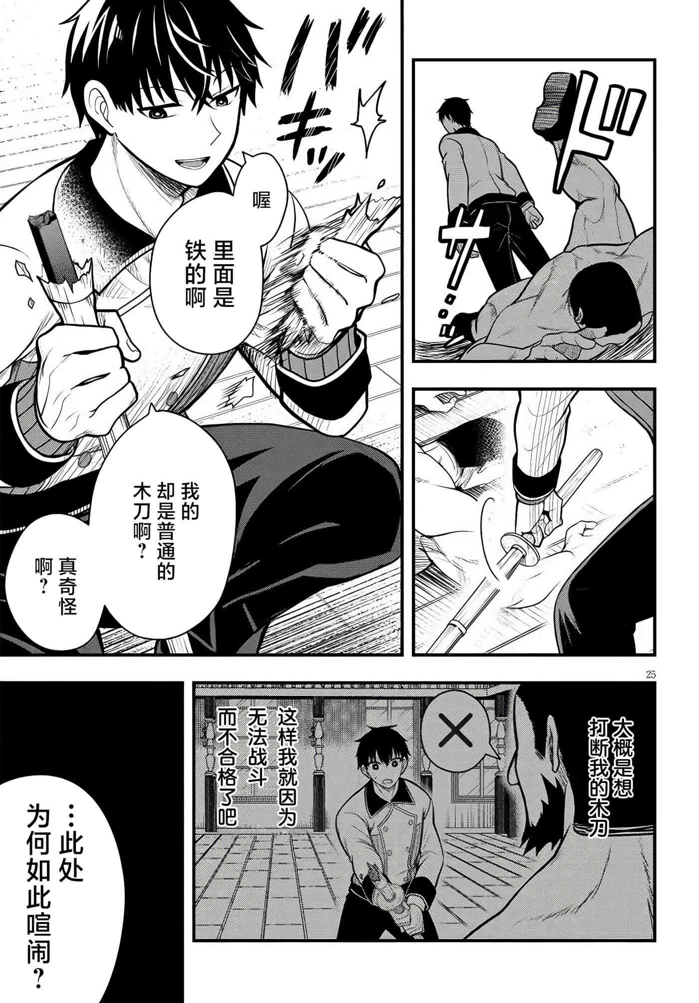 第 25 页