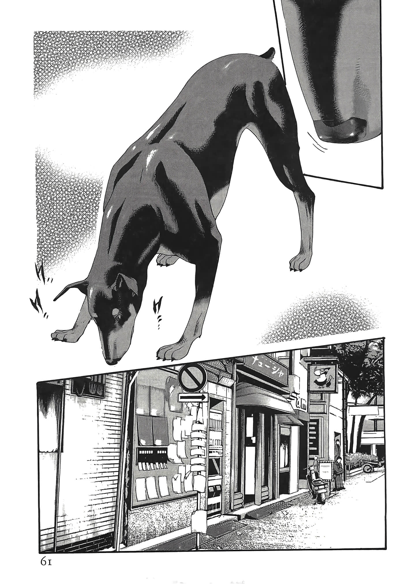 Page 61