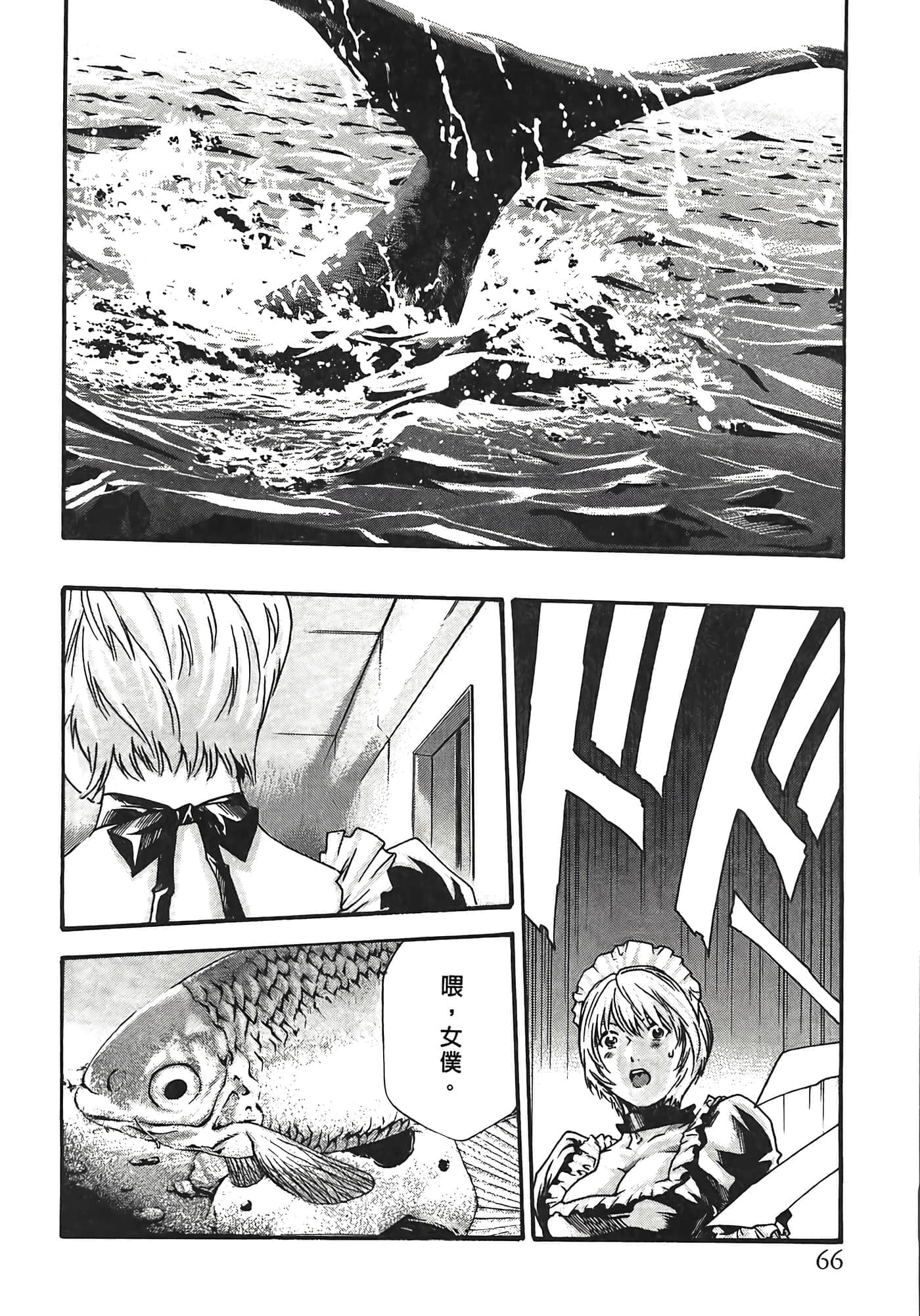 Page 66