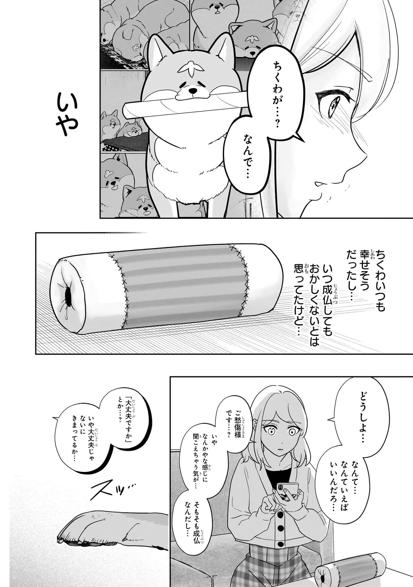 第 97 页
