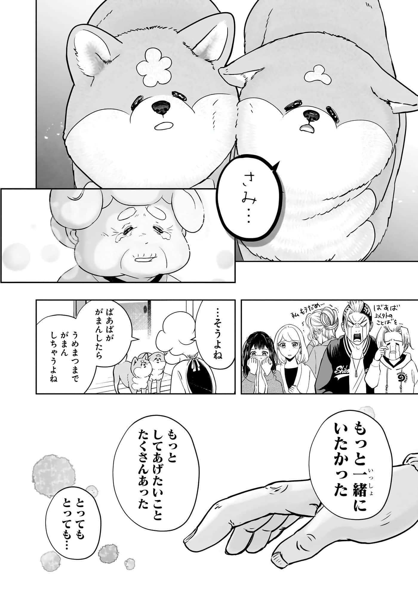 第 109 页