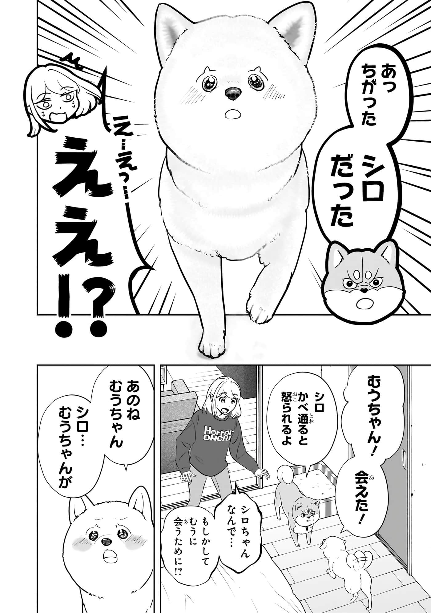 第 163 页