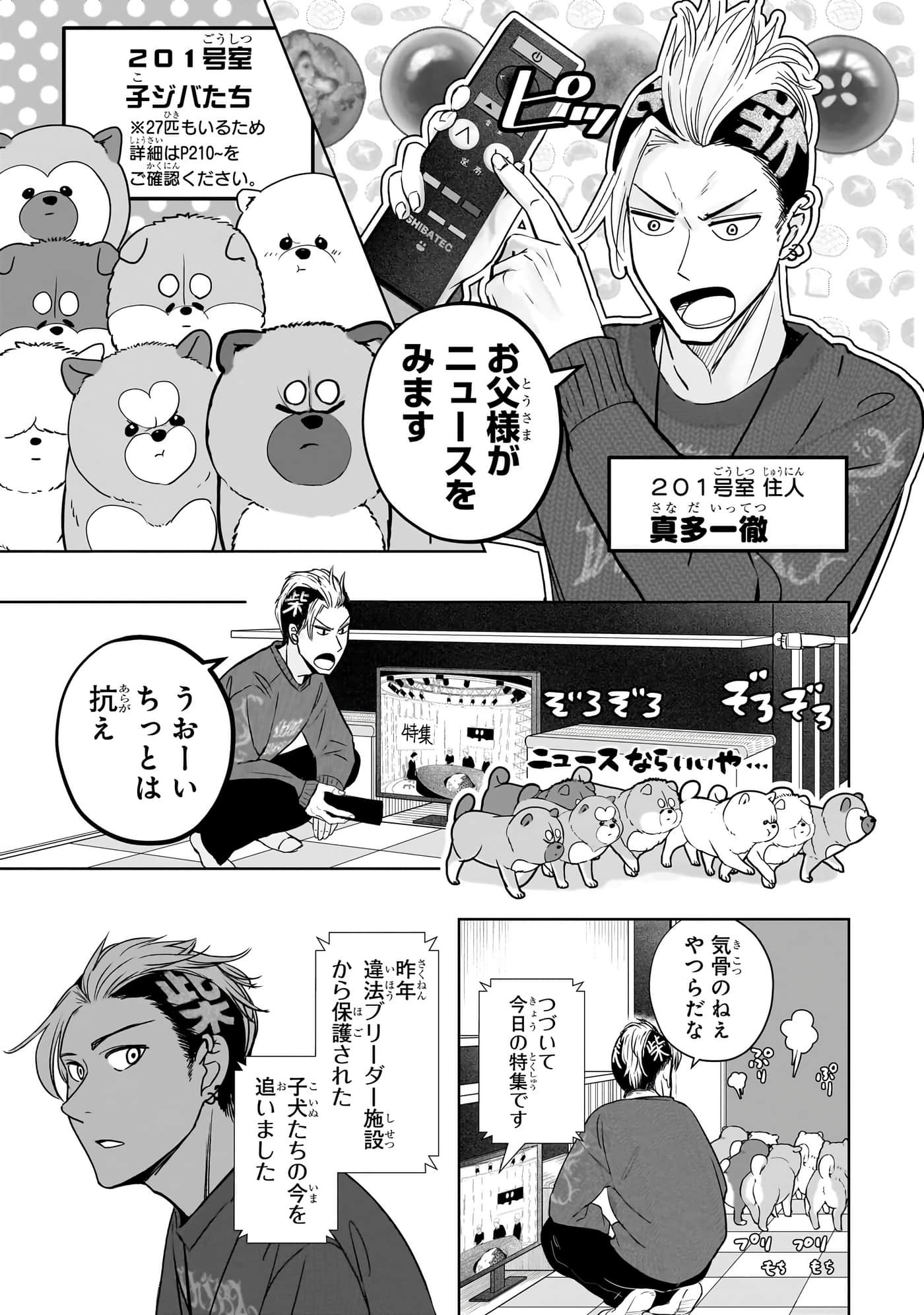 第 12 页