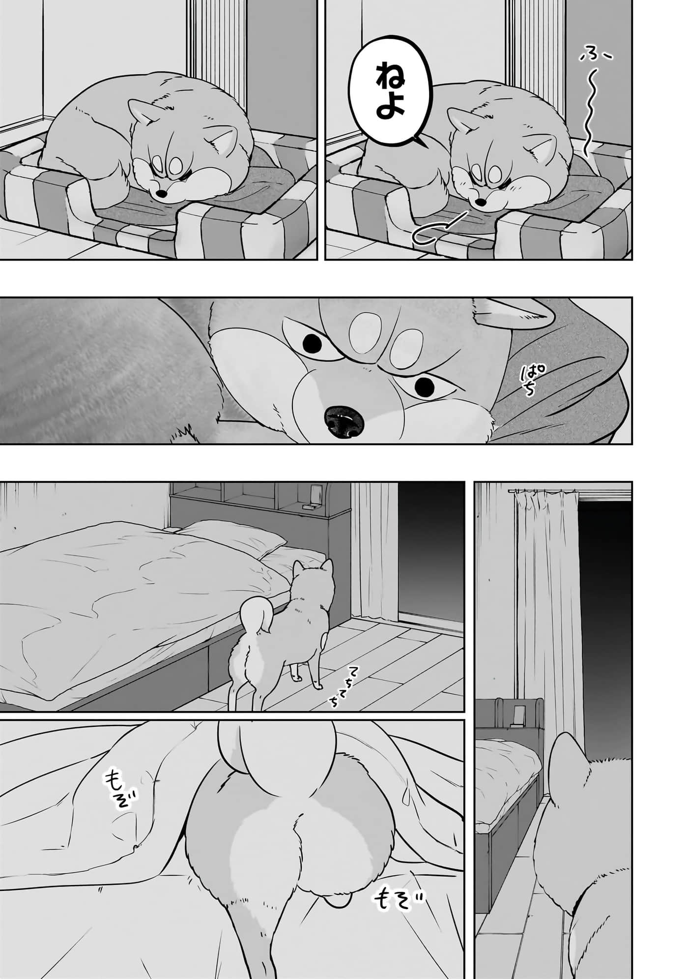 第 44 页