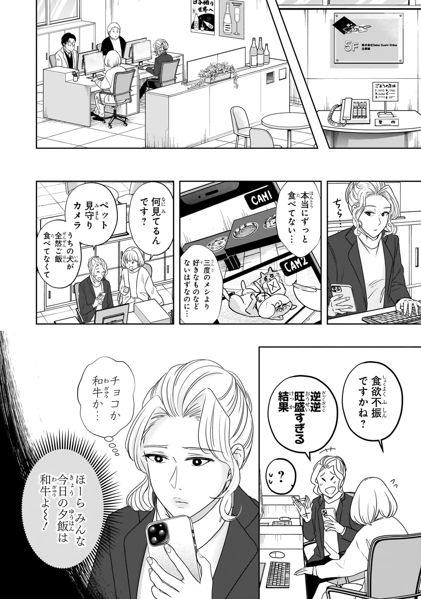 第 75 页