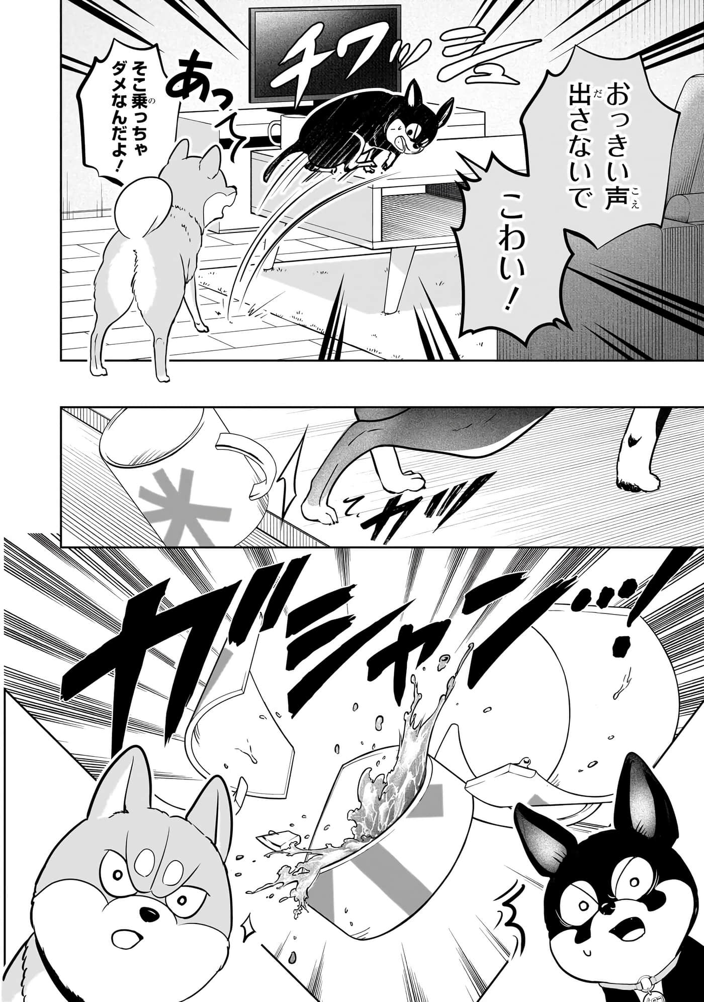 第 101 页