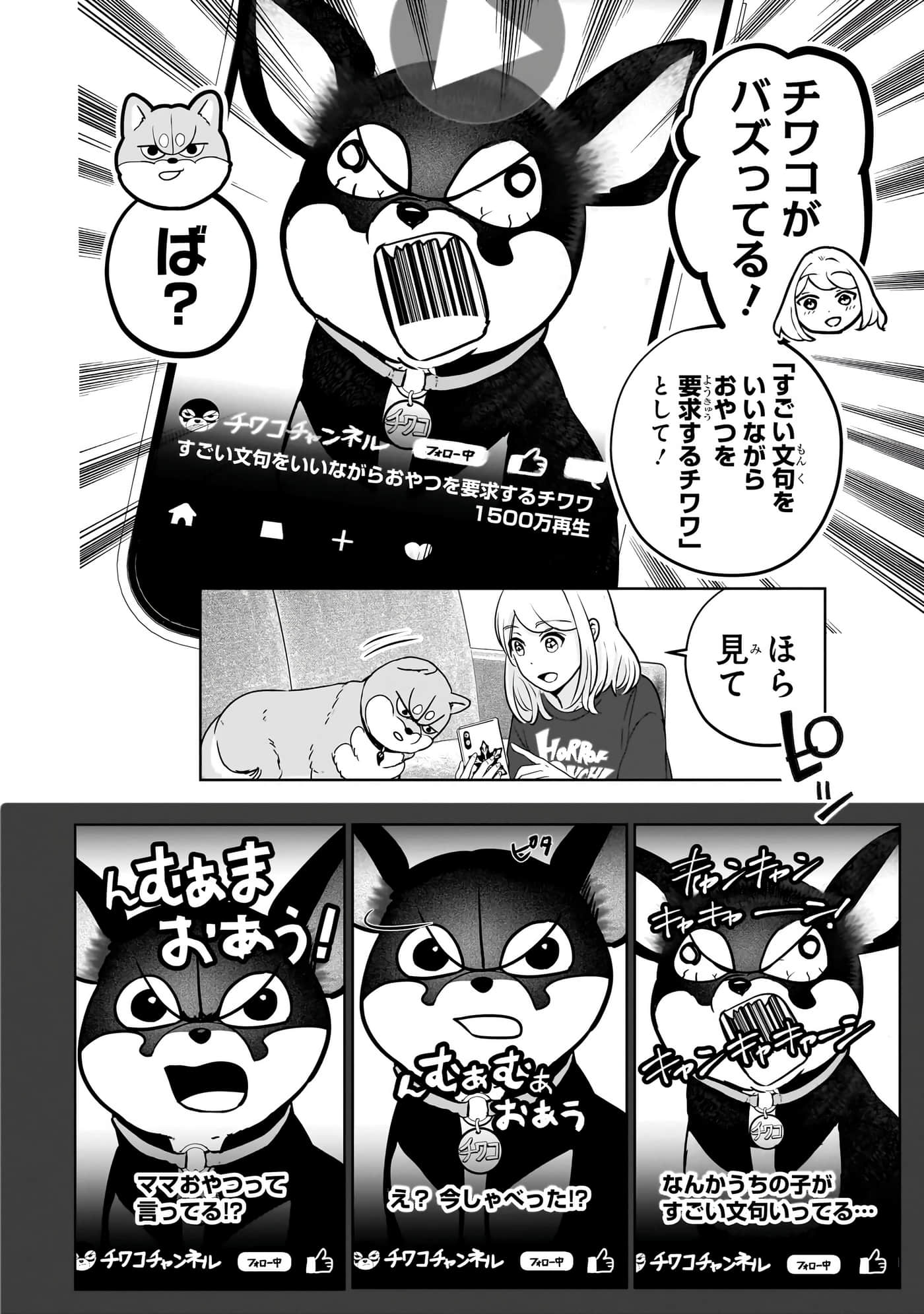 第 117 页