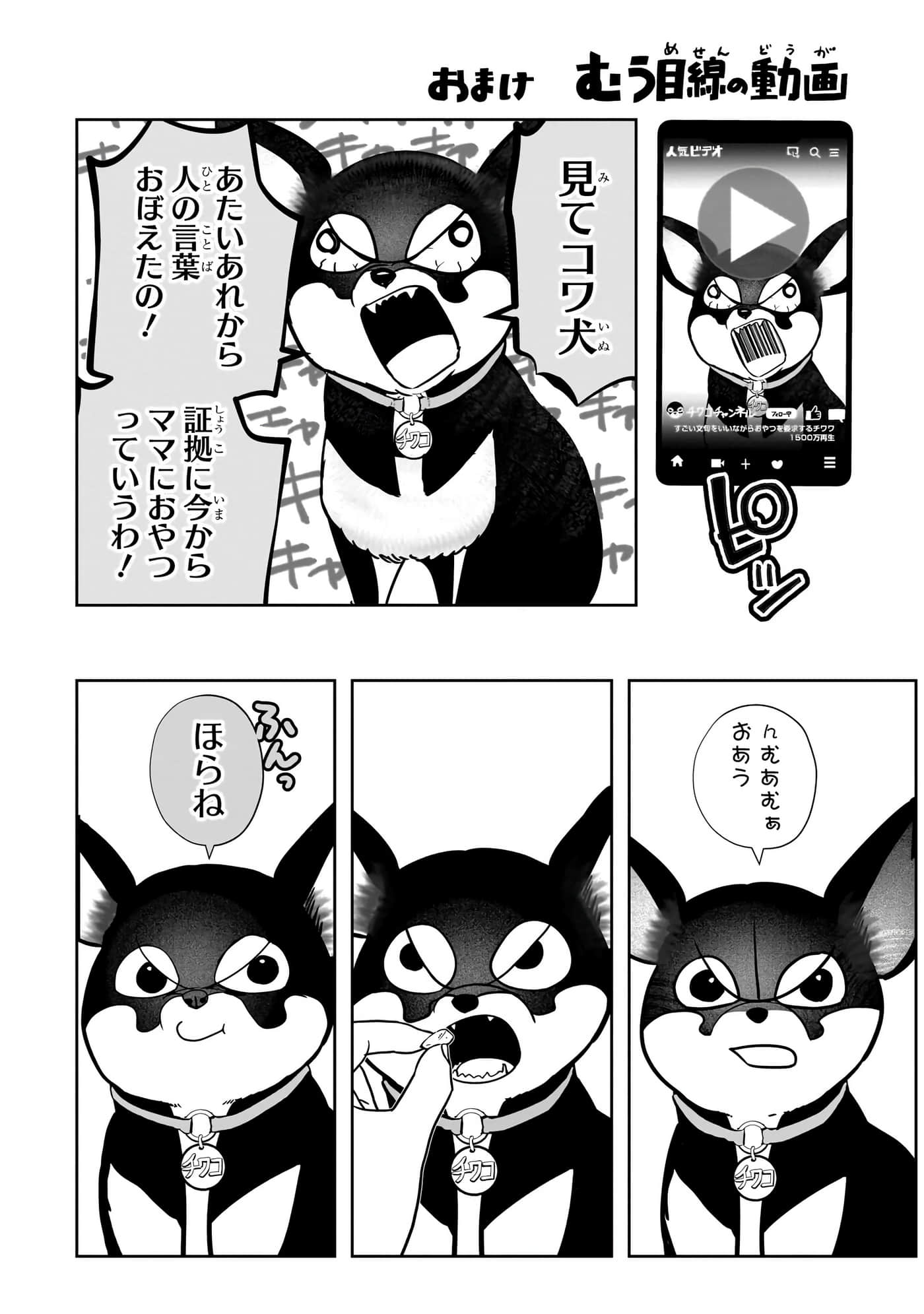 第 119 页