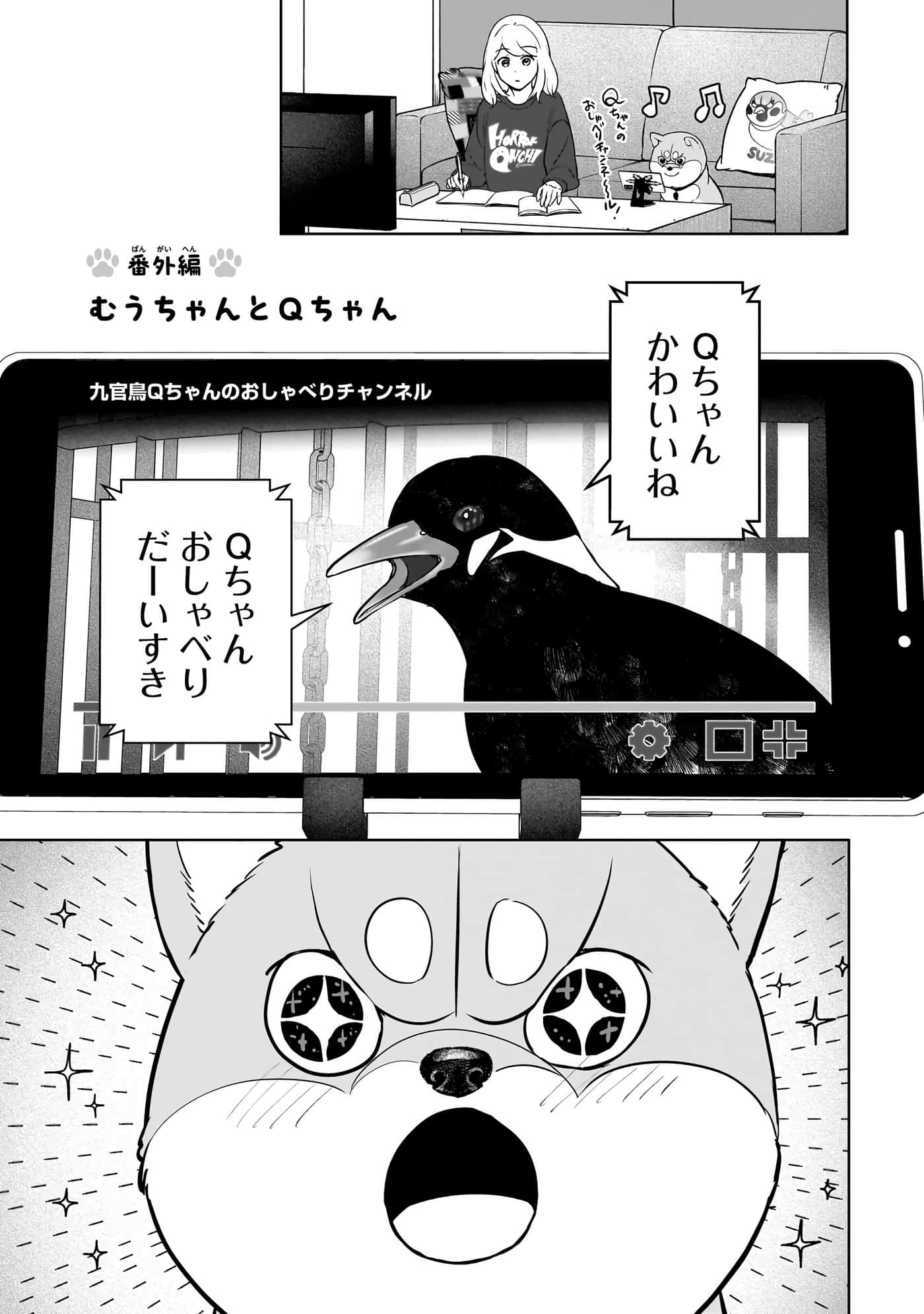 第 204 页