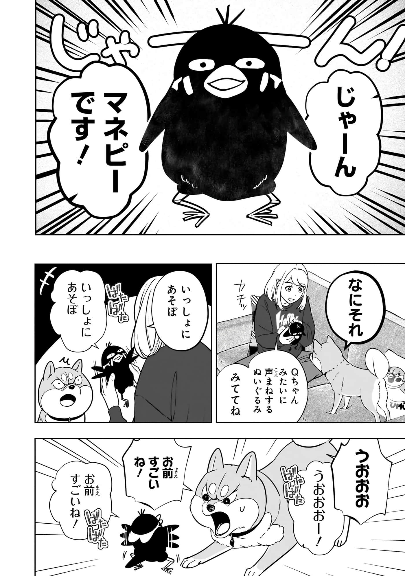 第 207 页