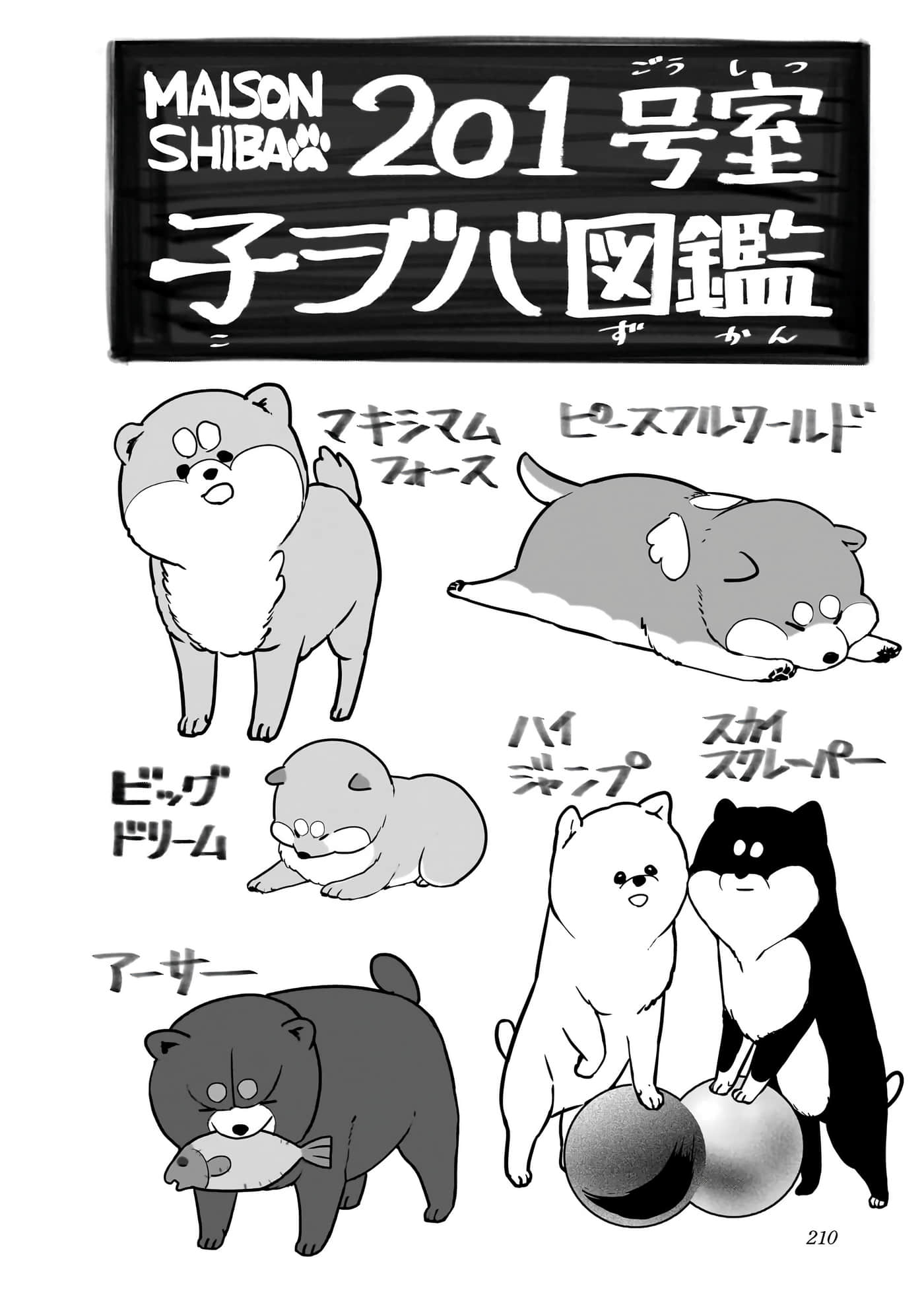 第 211 页