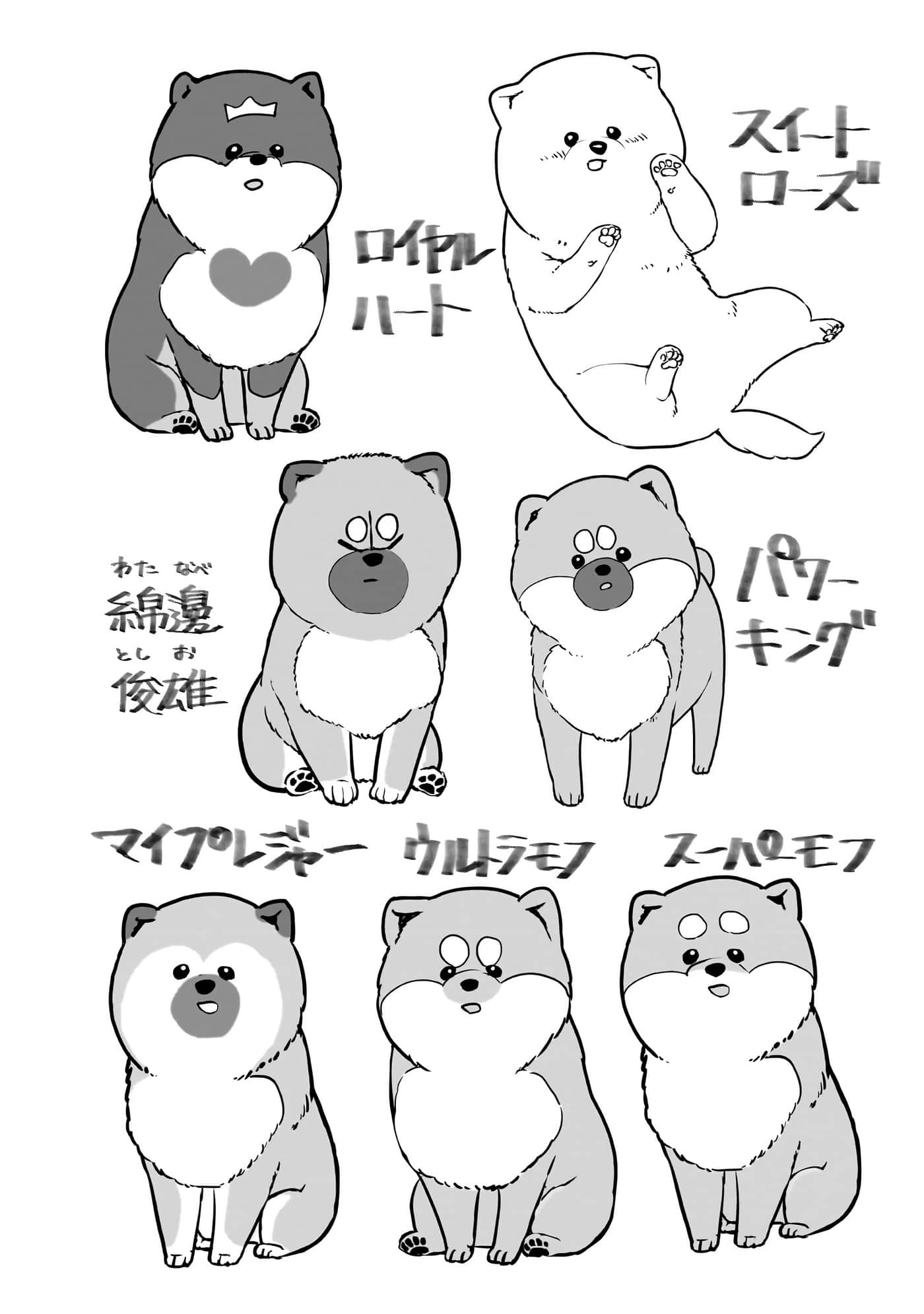 第 213 页