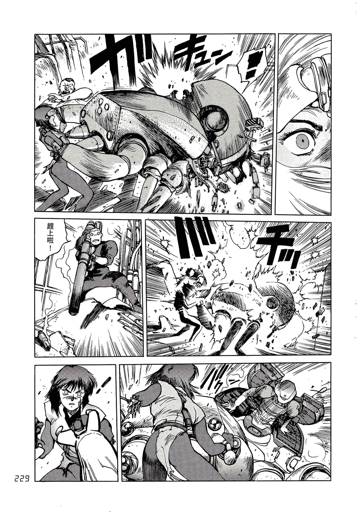Page 238