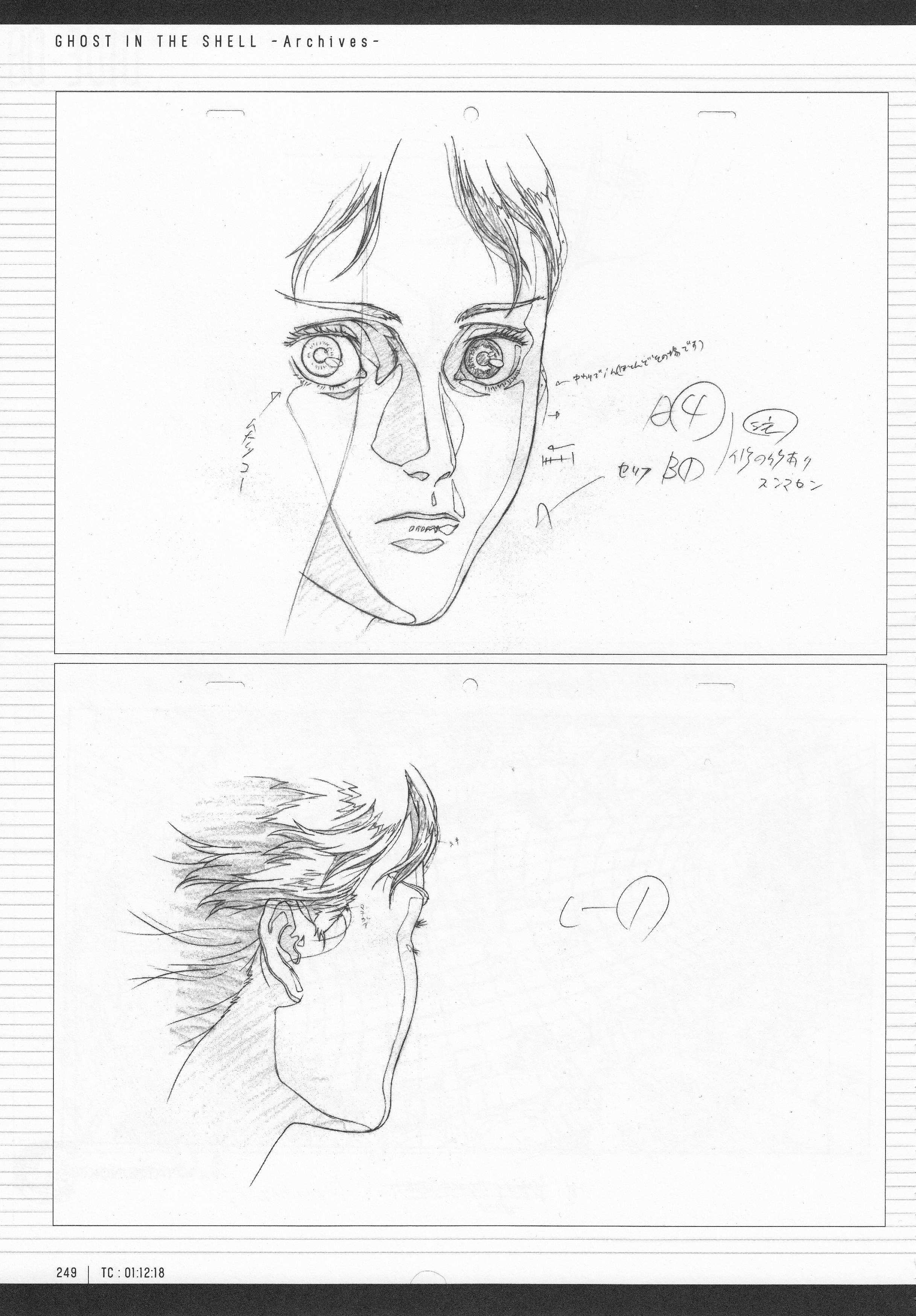 Page 251