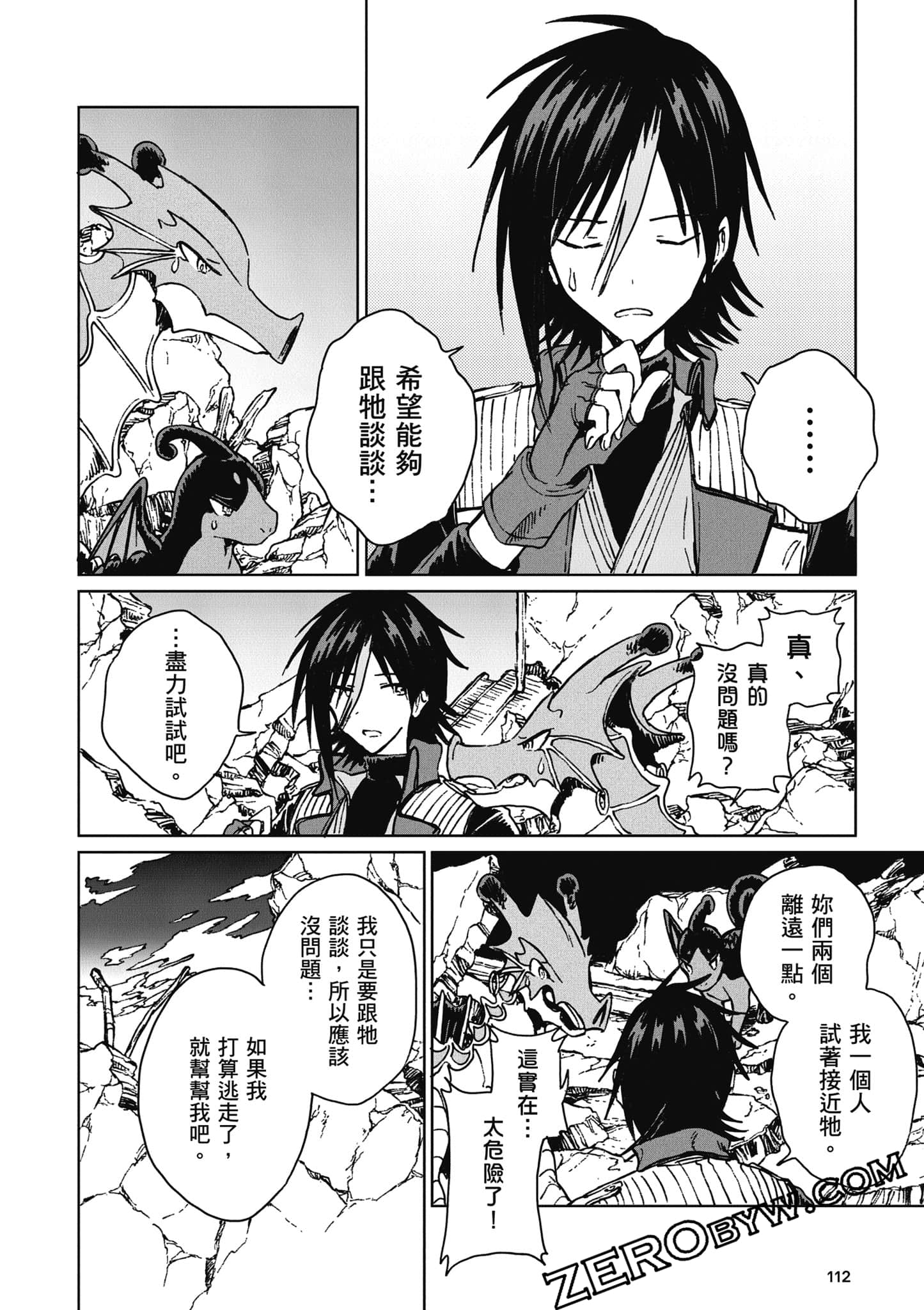 Page 113