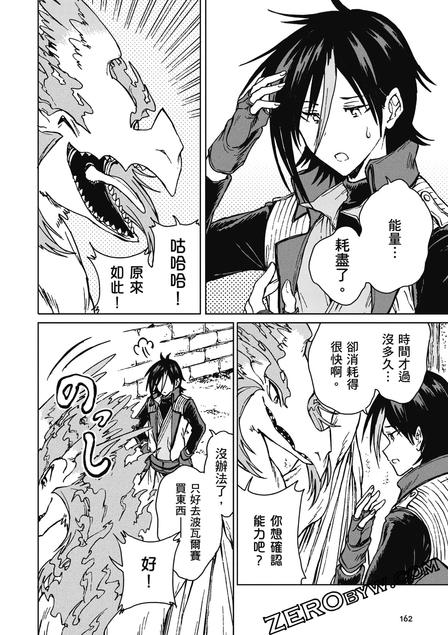 Page 163