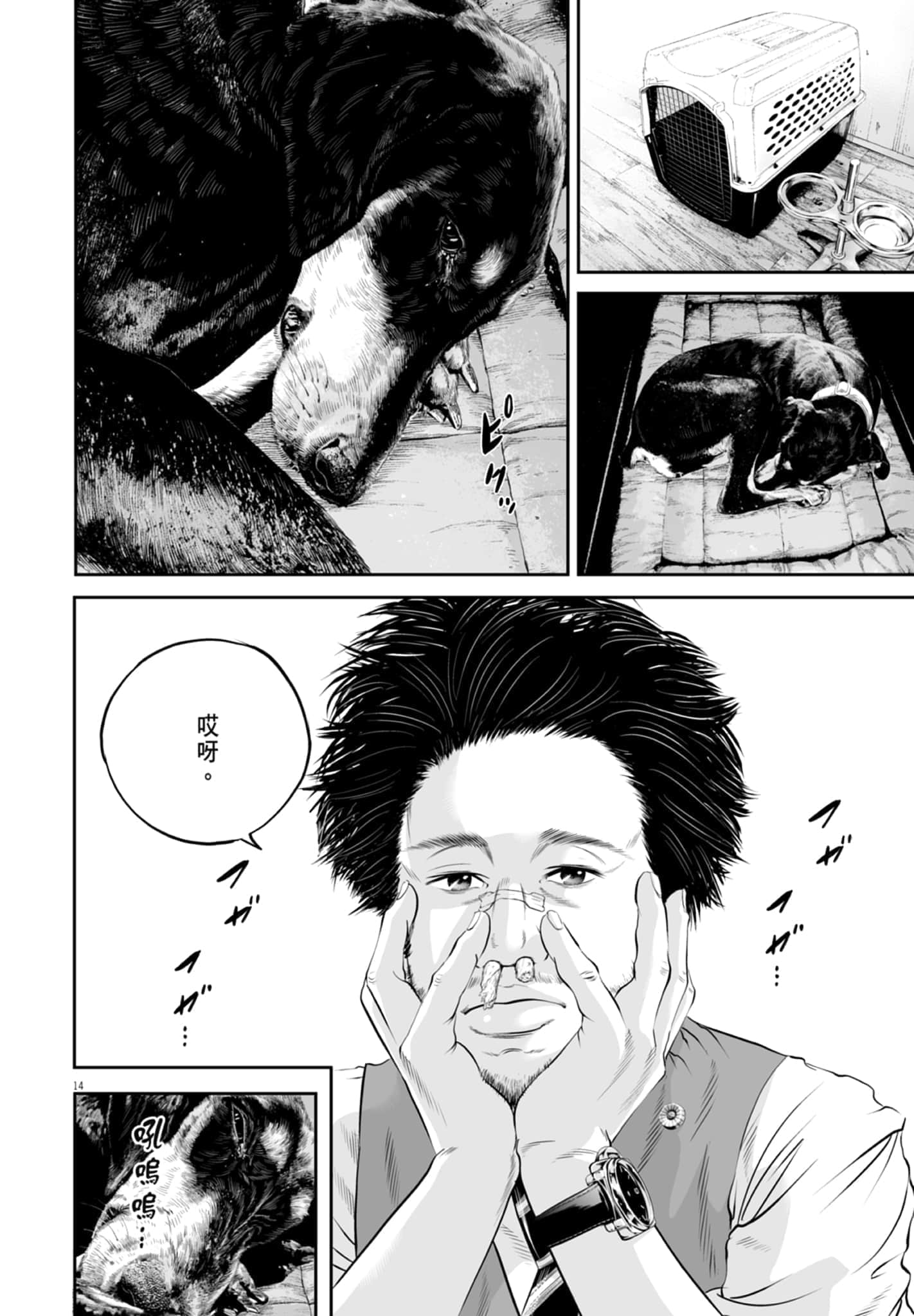 第 36 页