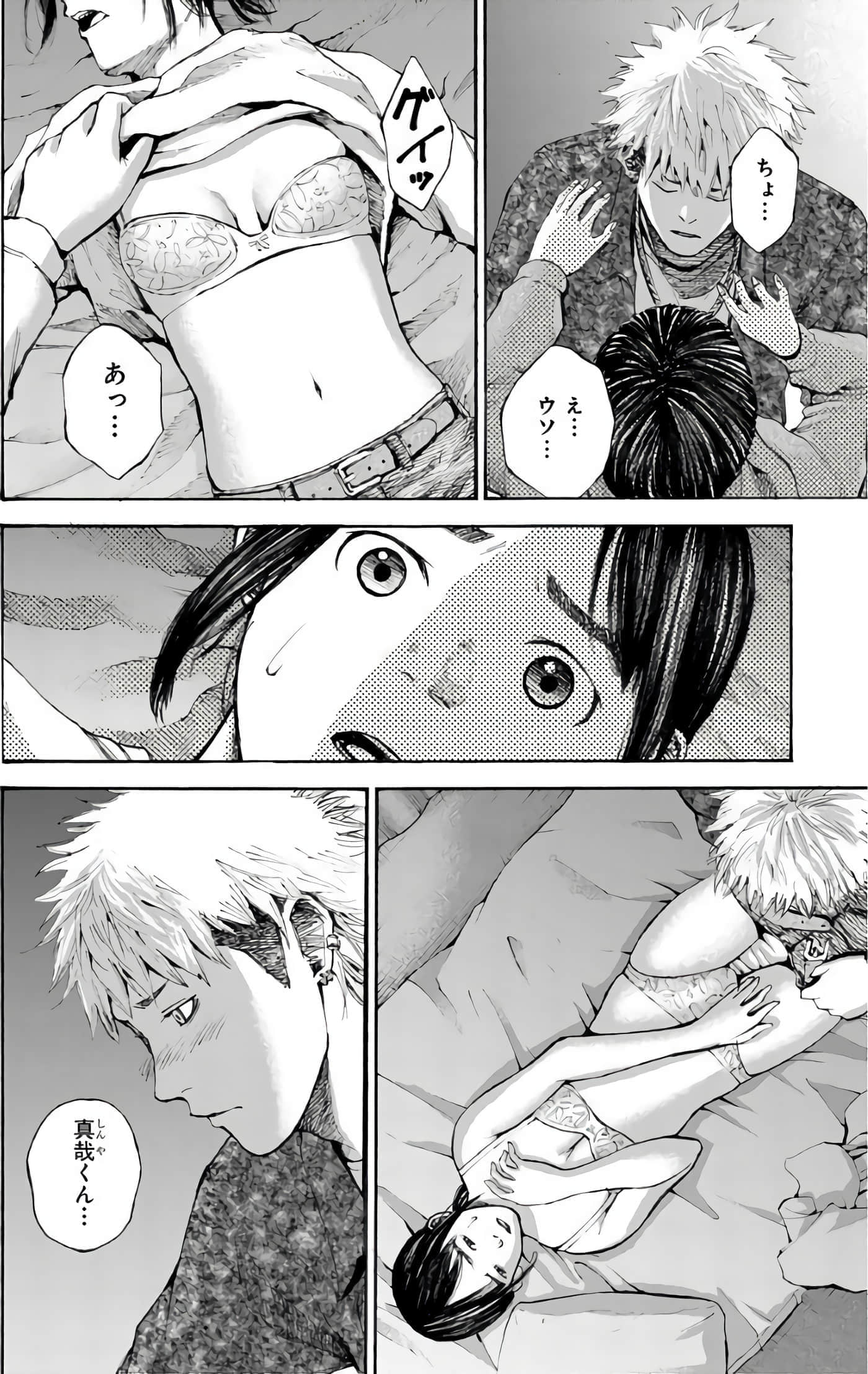 第 12 页