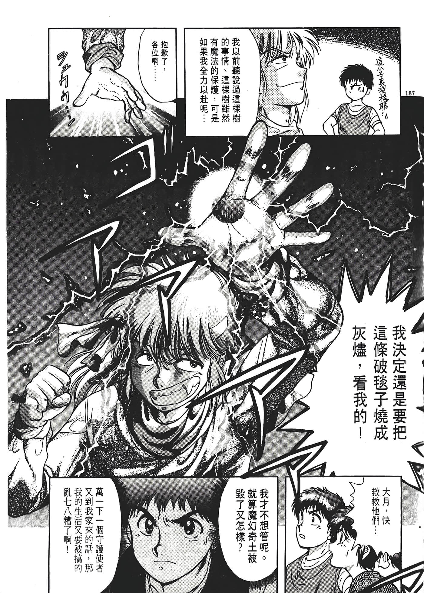 第 191 页