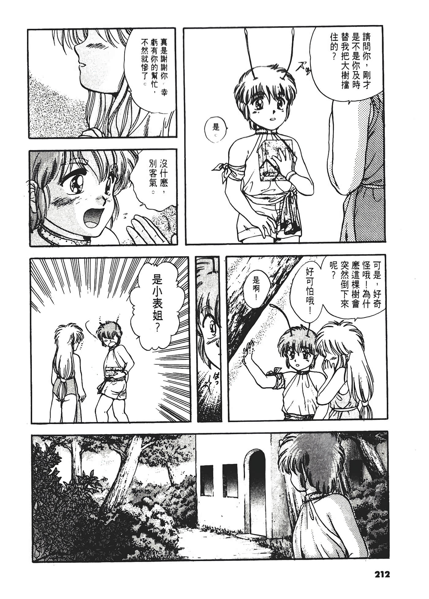 第 216 页