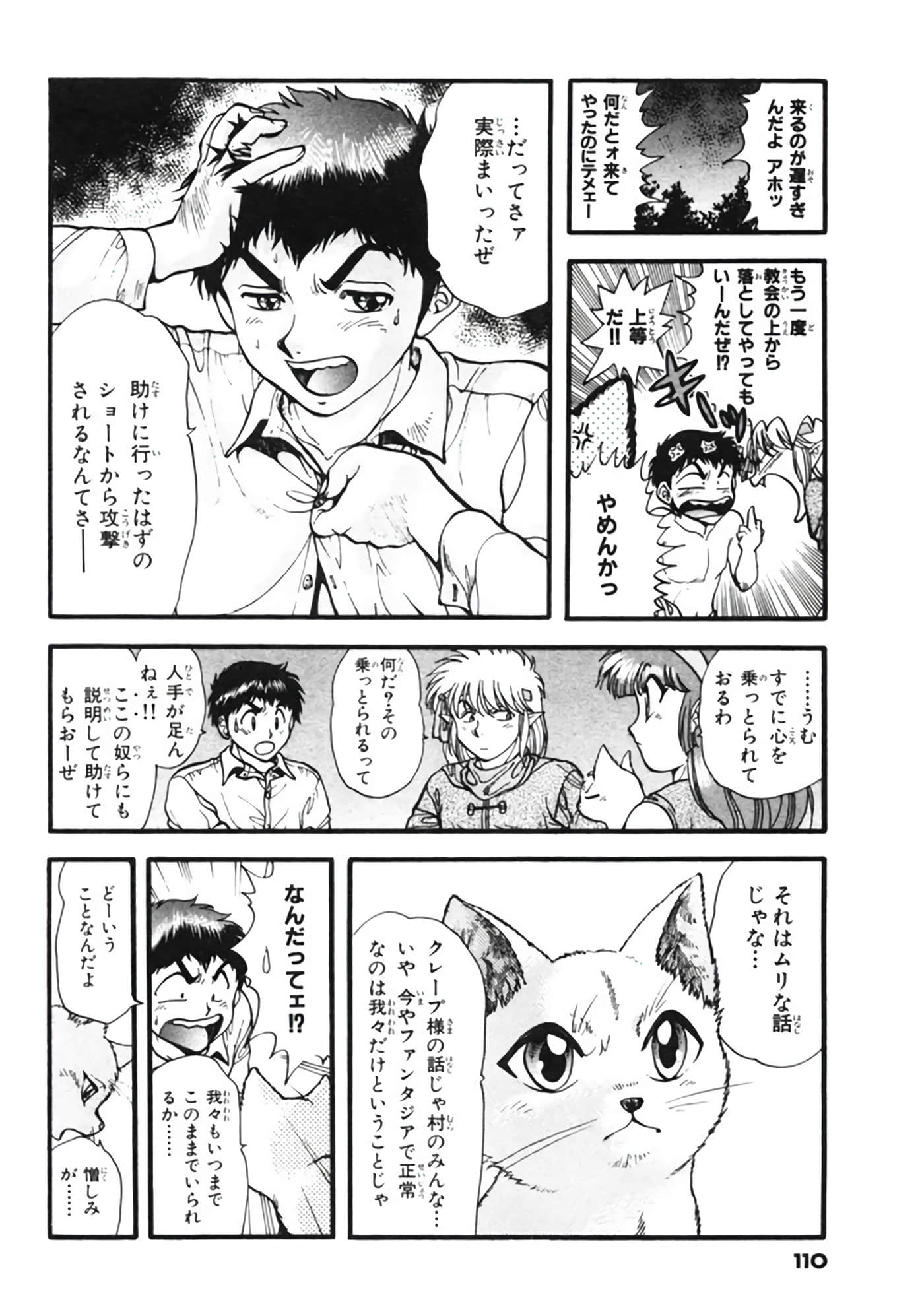Page 111