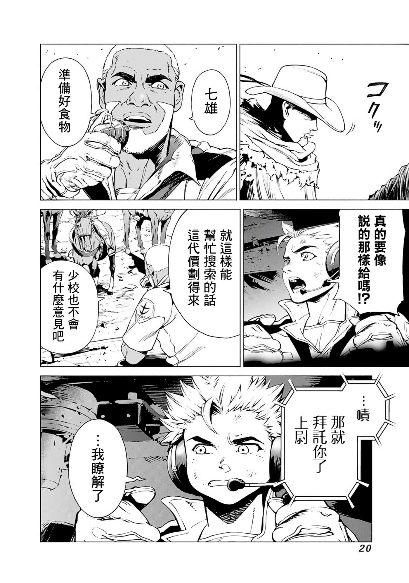 第 20 页