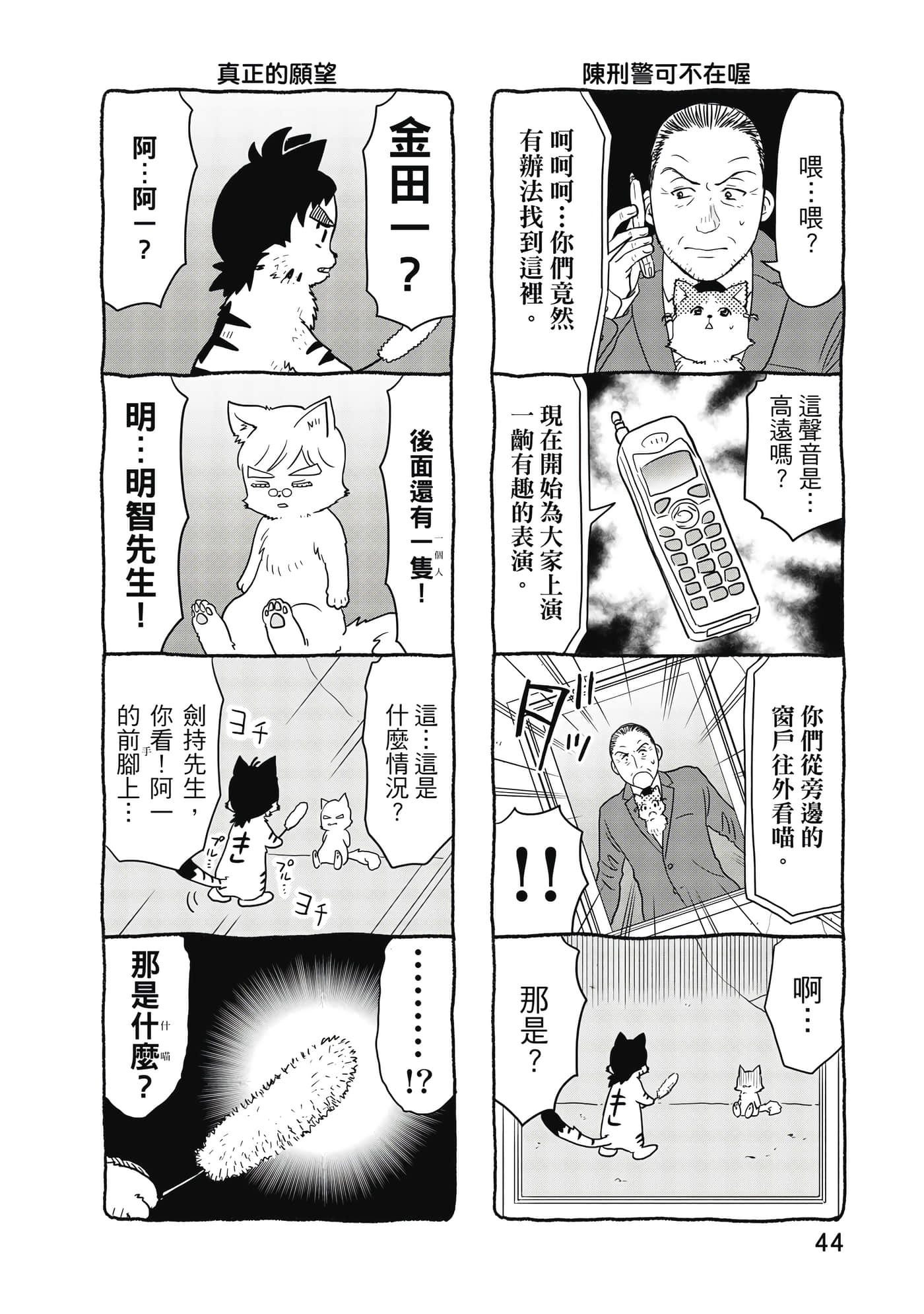 Page 45