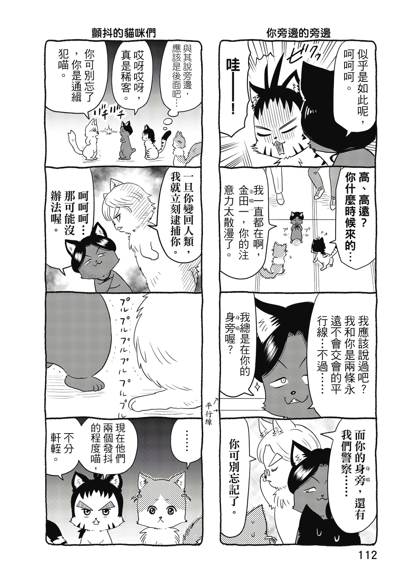 Page 113
