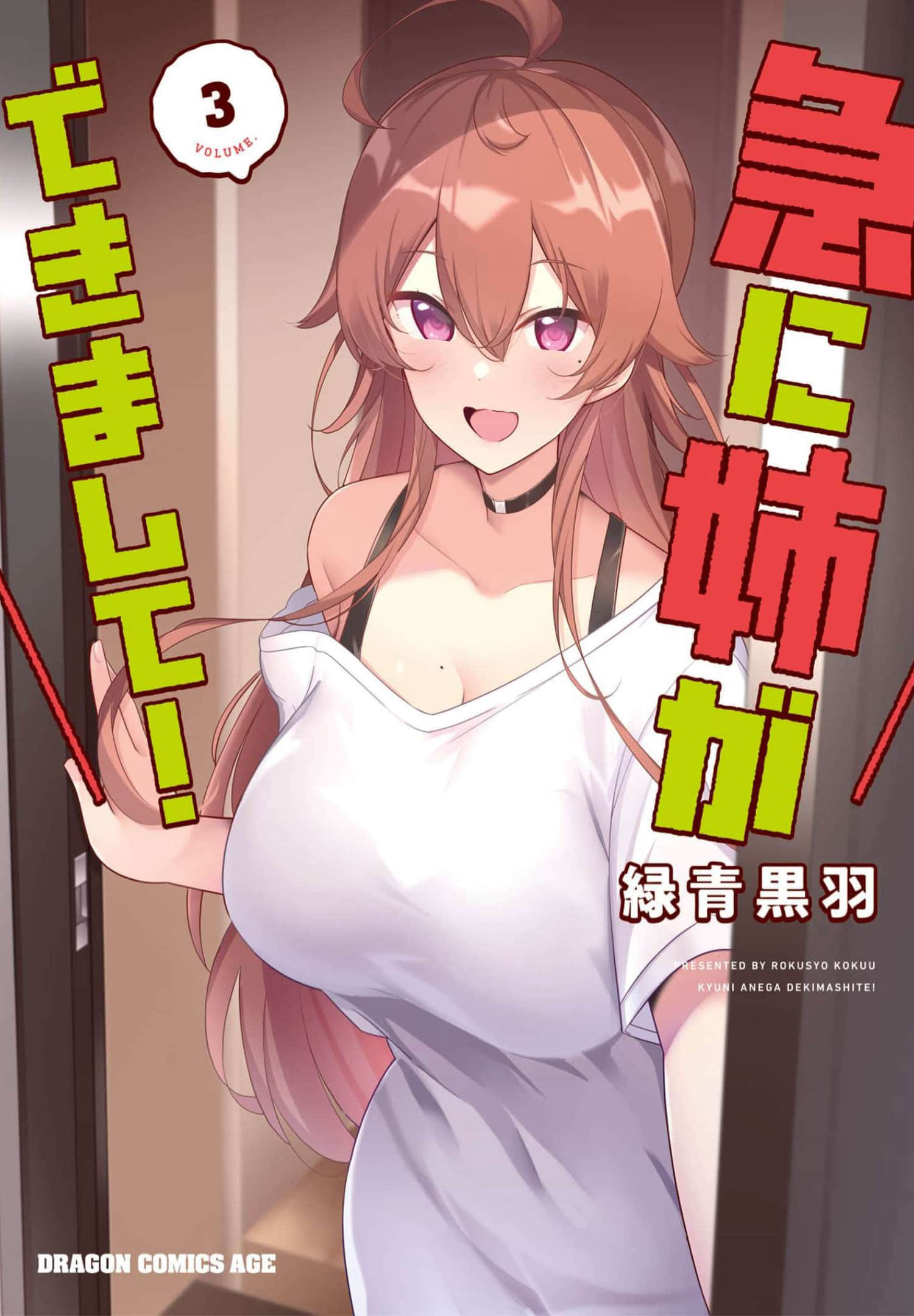 姐姐突然来到我身边【1-21话 15-21是生肉】【急に姉ができまして】【已完结】