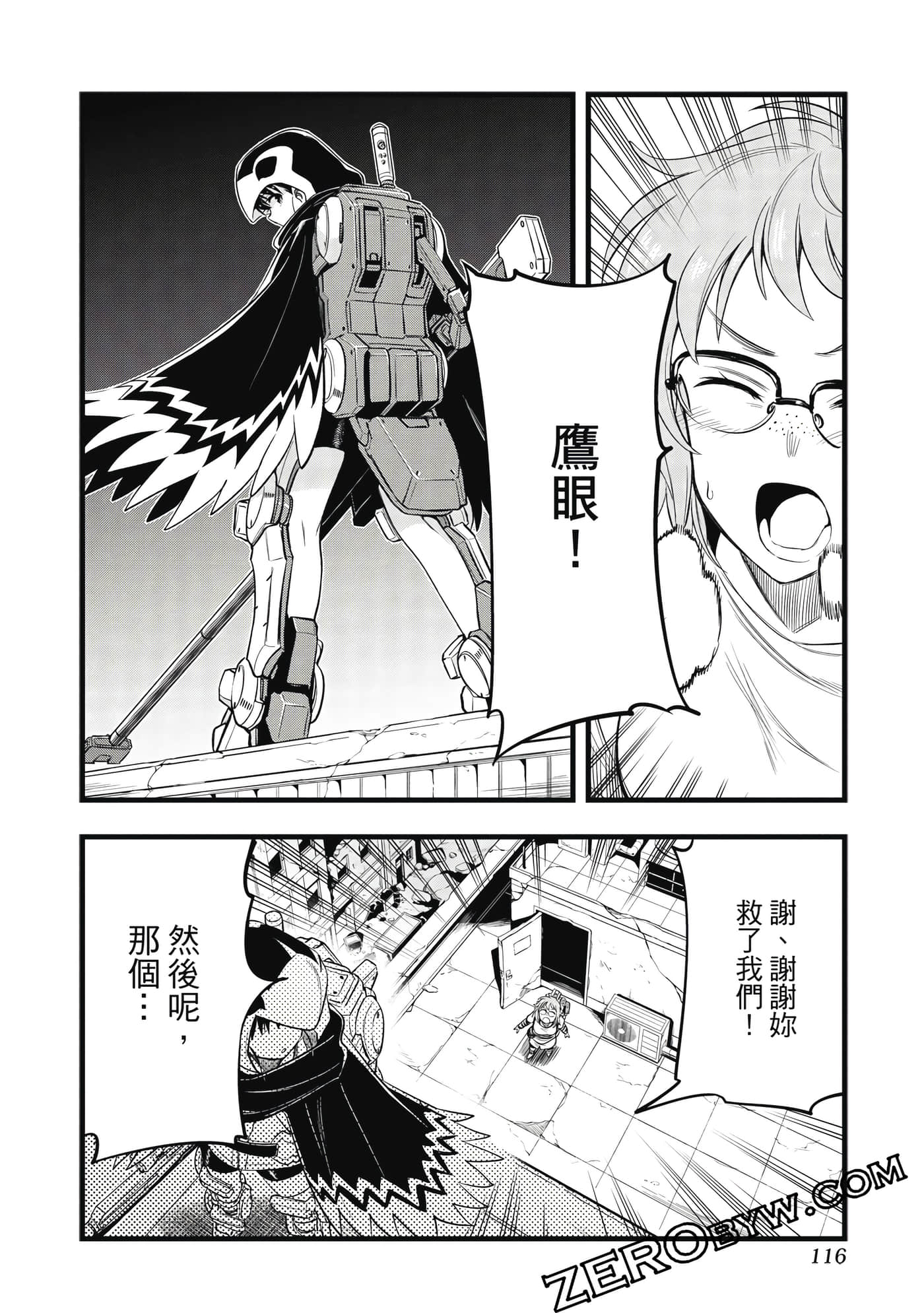 第 117 页