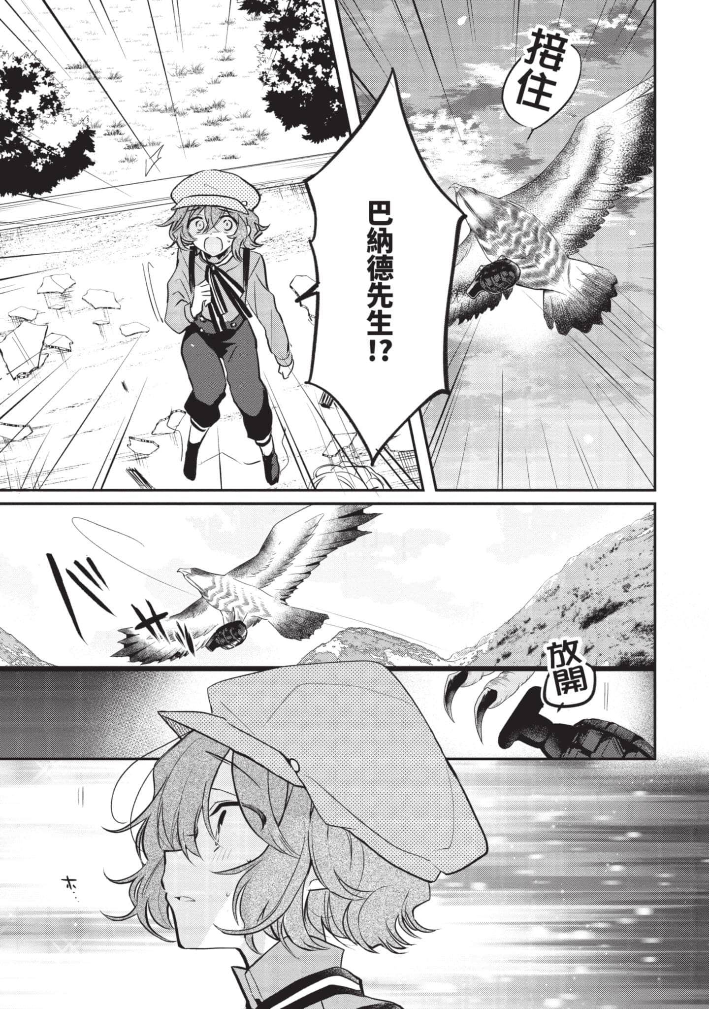 第 56 页