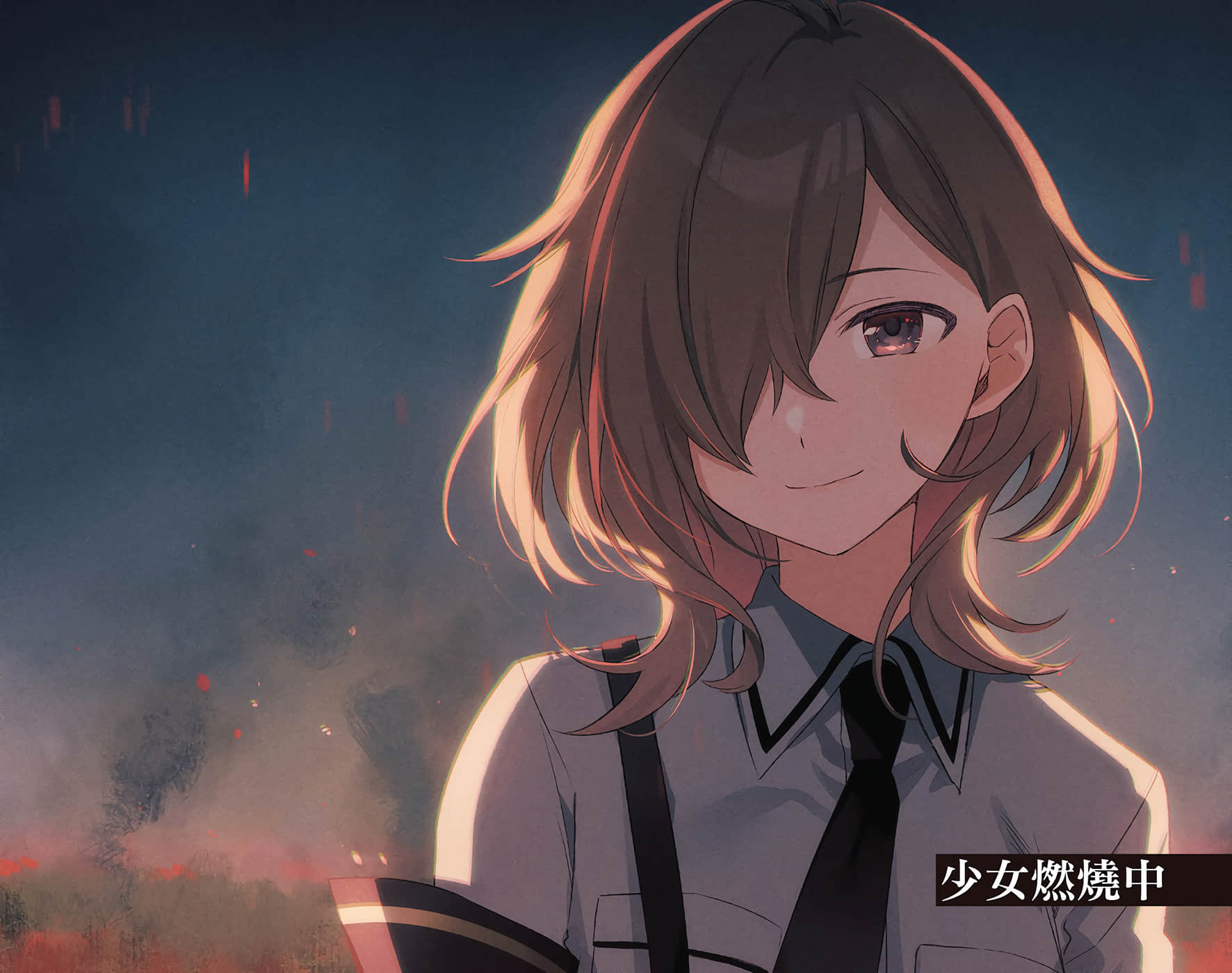 第 95 页