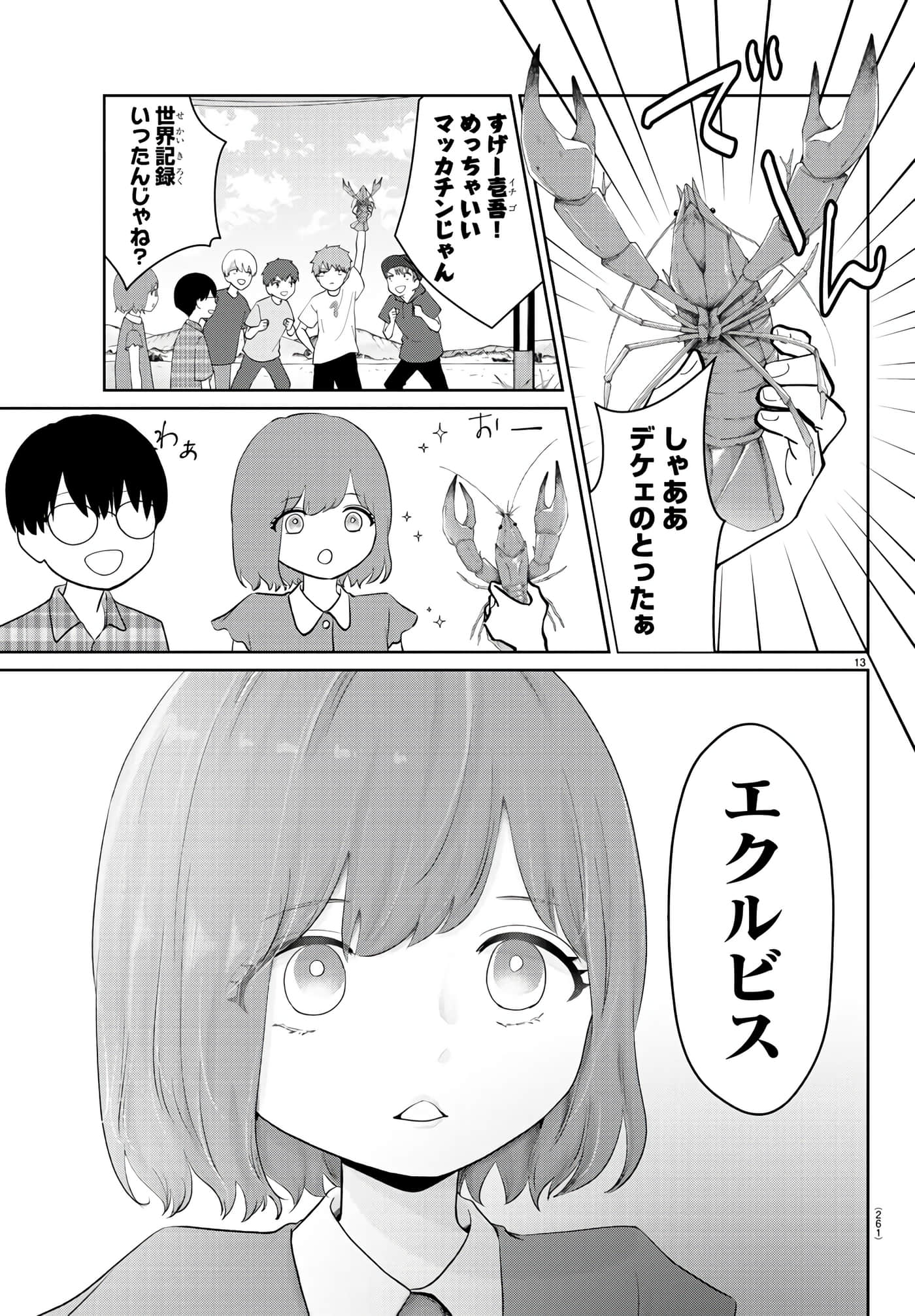 第 13 页