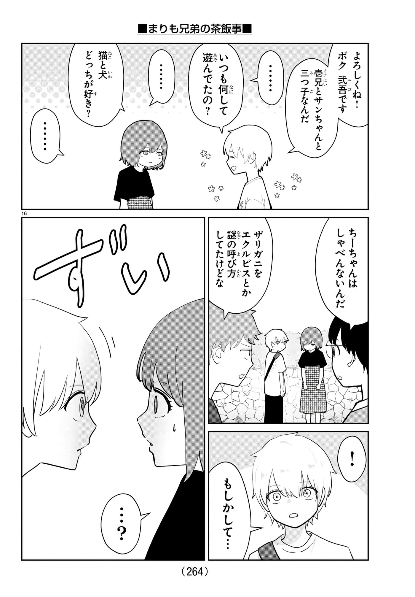 第 16 页