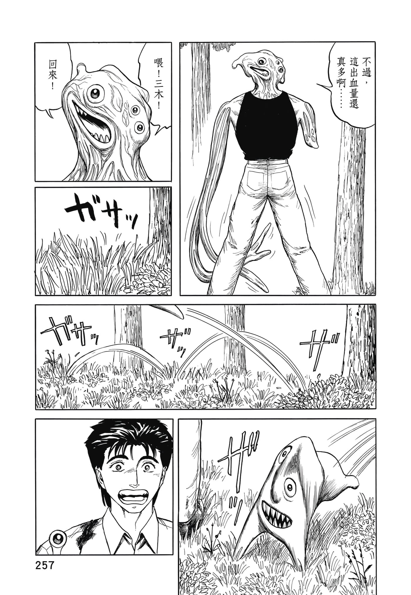 Page 258