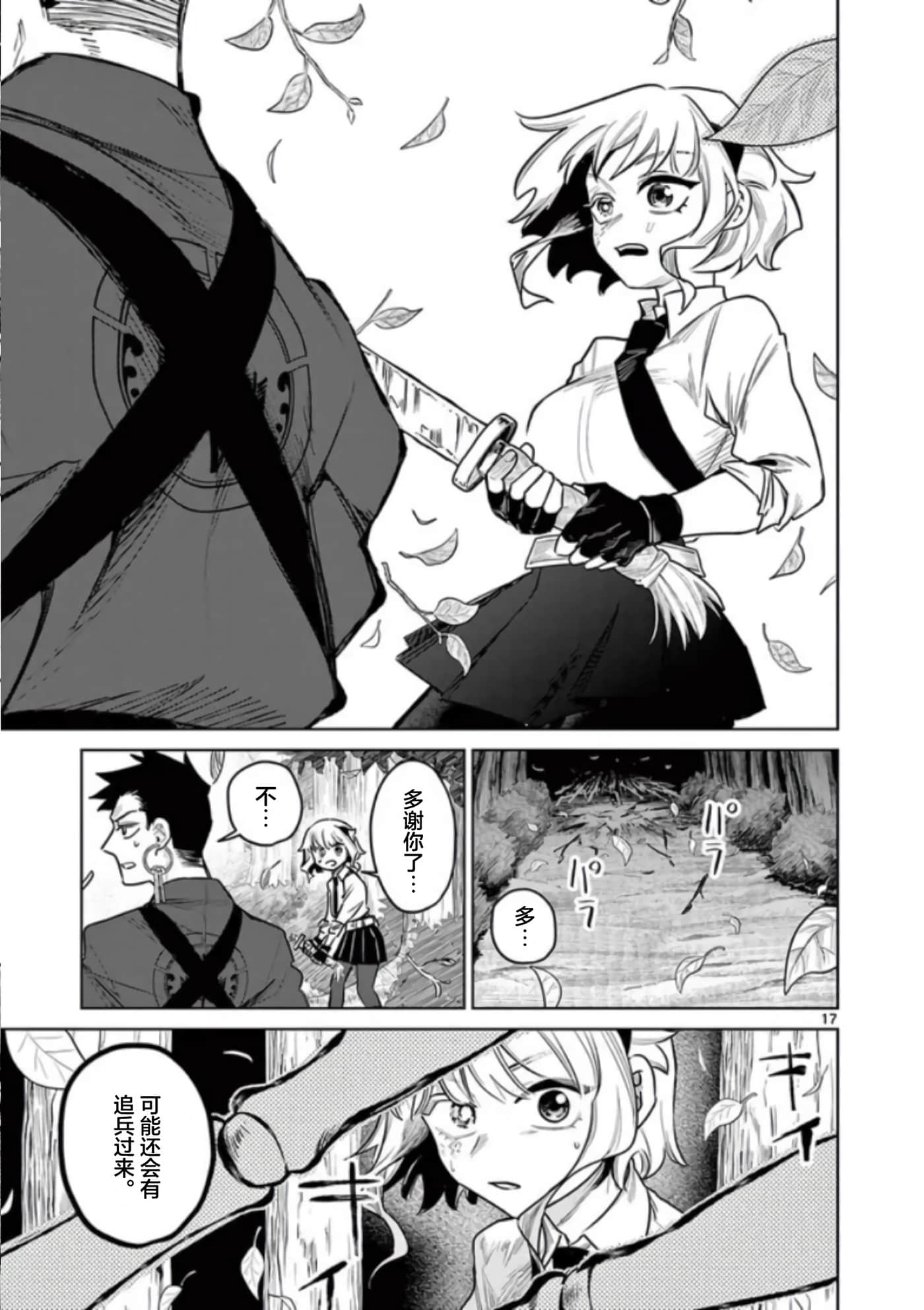 第 17 页