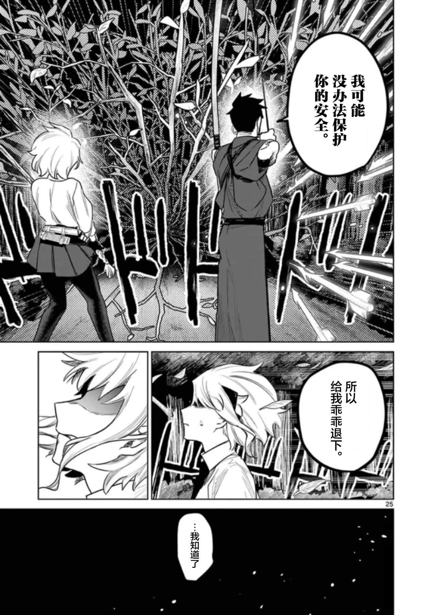 第 25 页