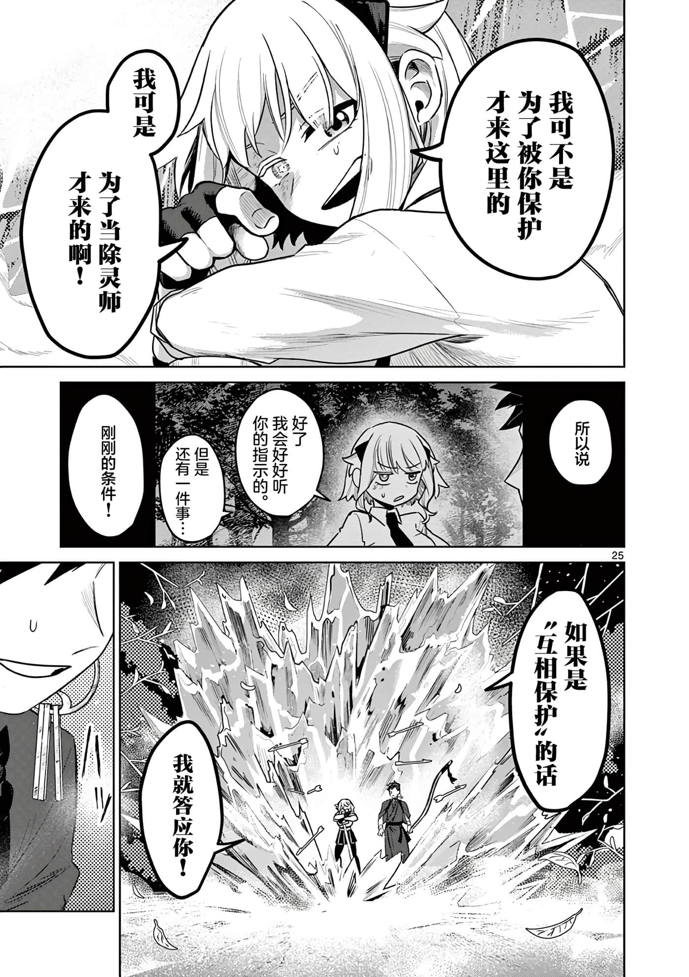 第 25 页
