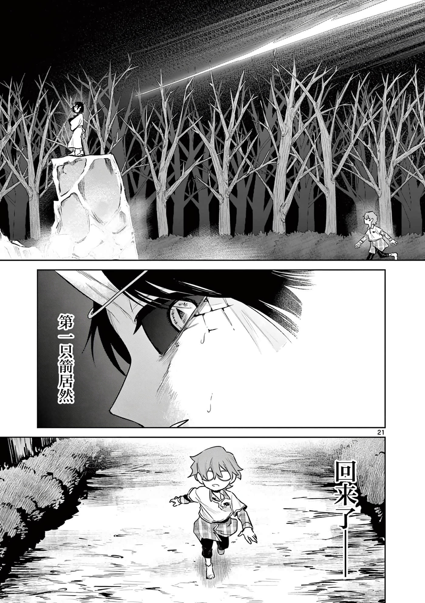 第 21 页