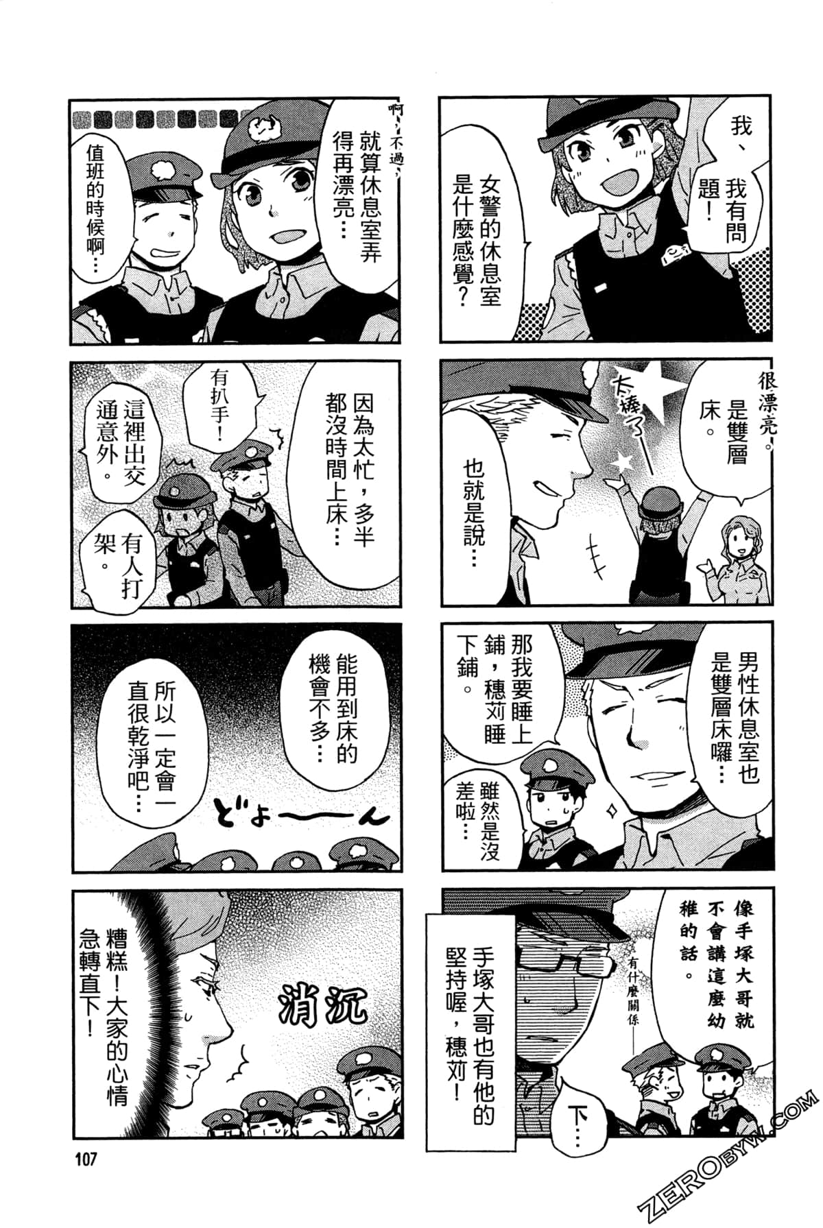 第 110 页