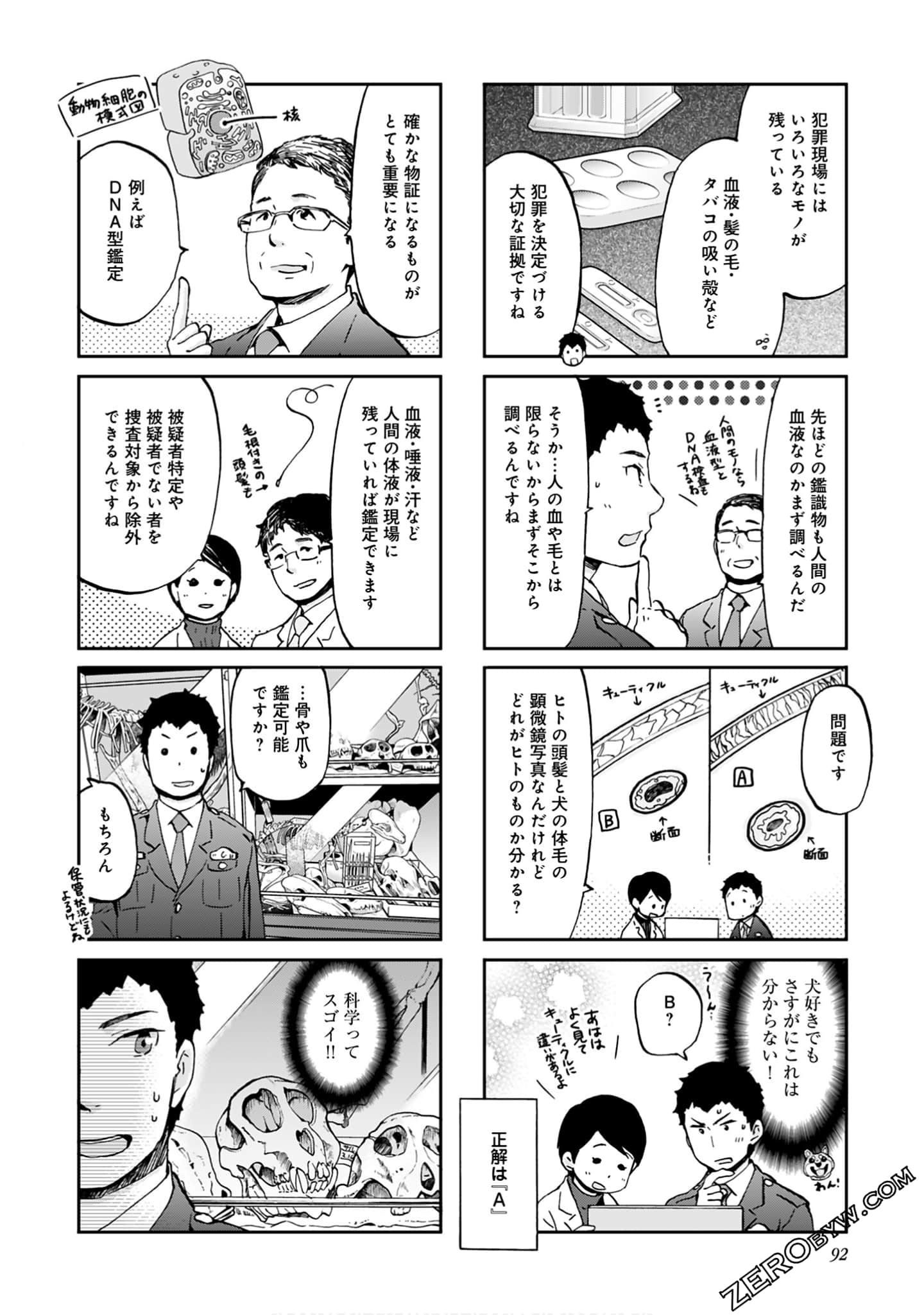 Page 91