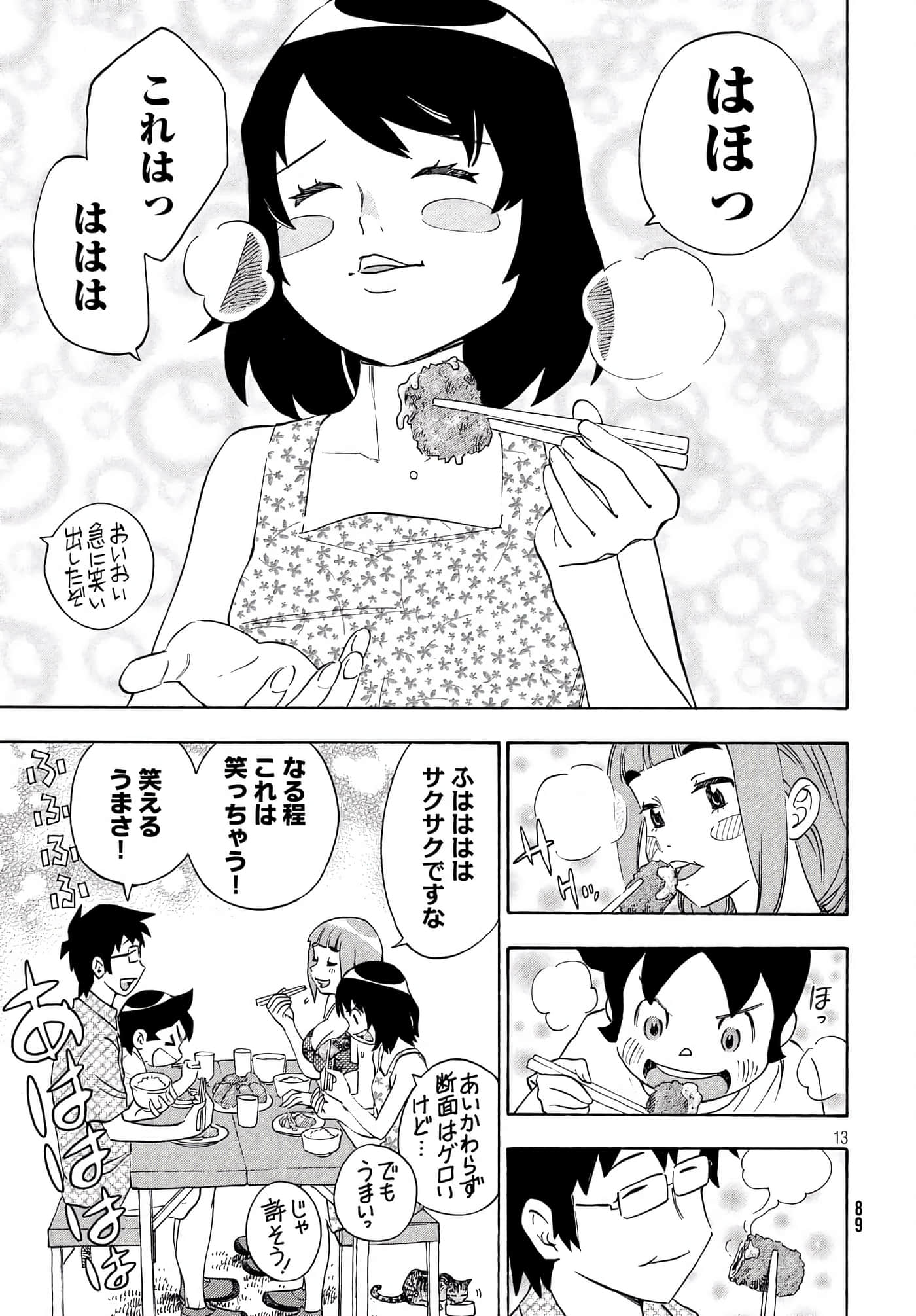 Page 13