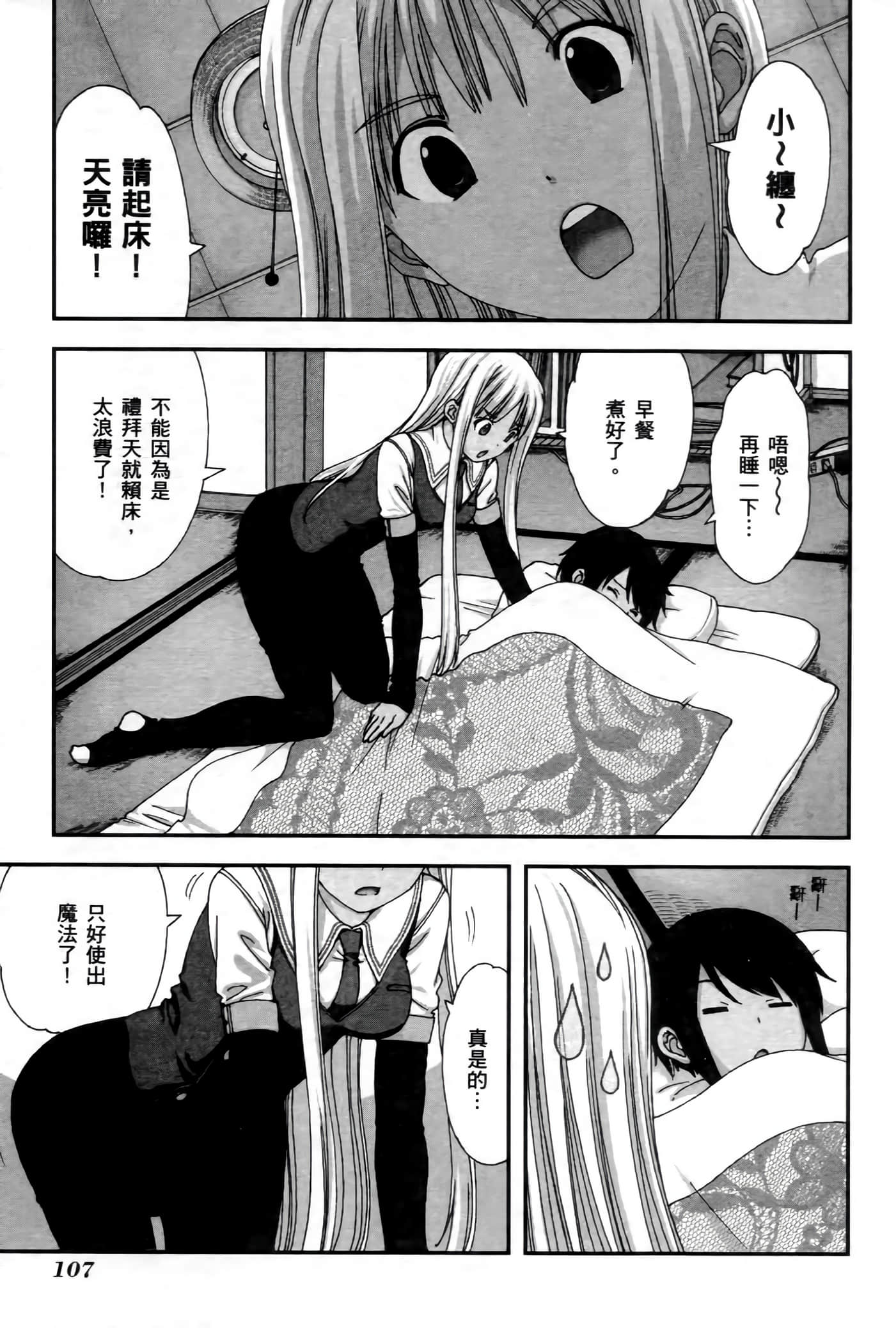 第 106 页