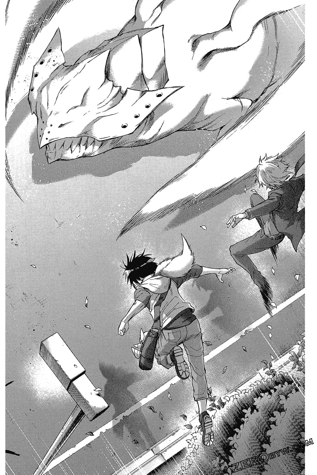 Page 61