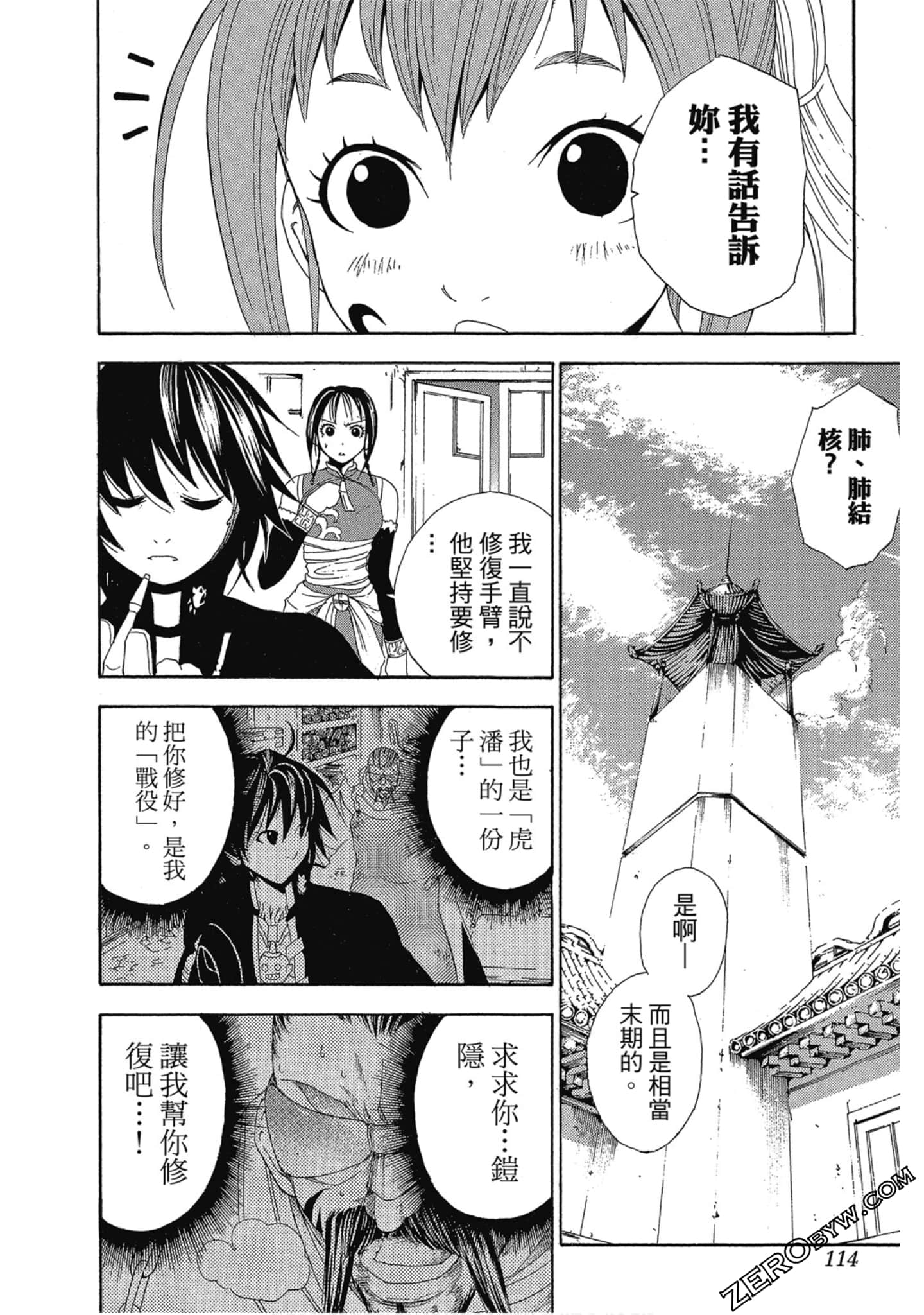 Page 113