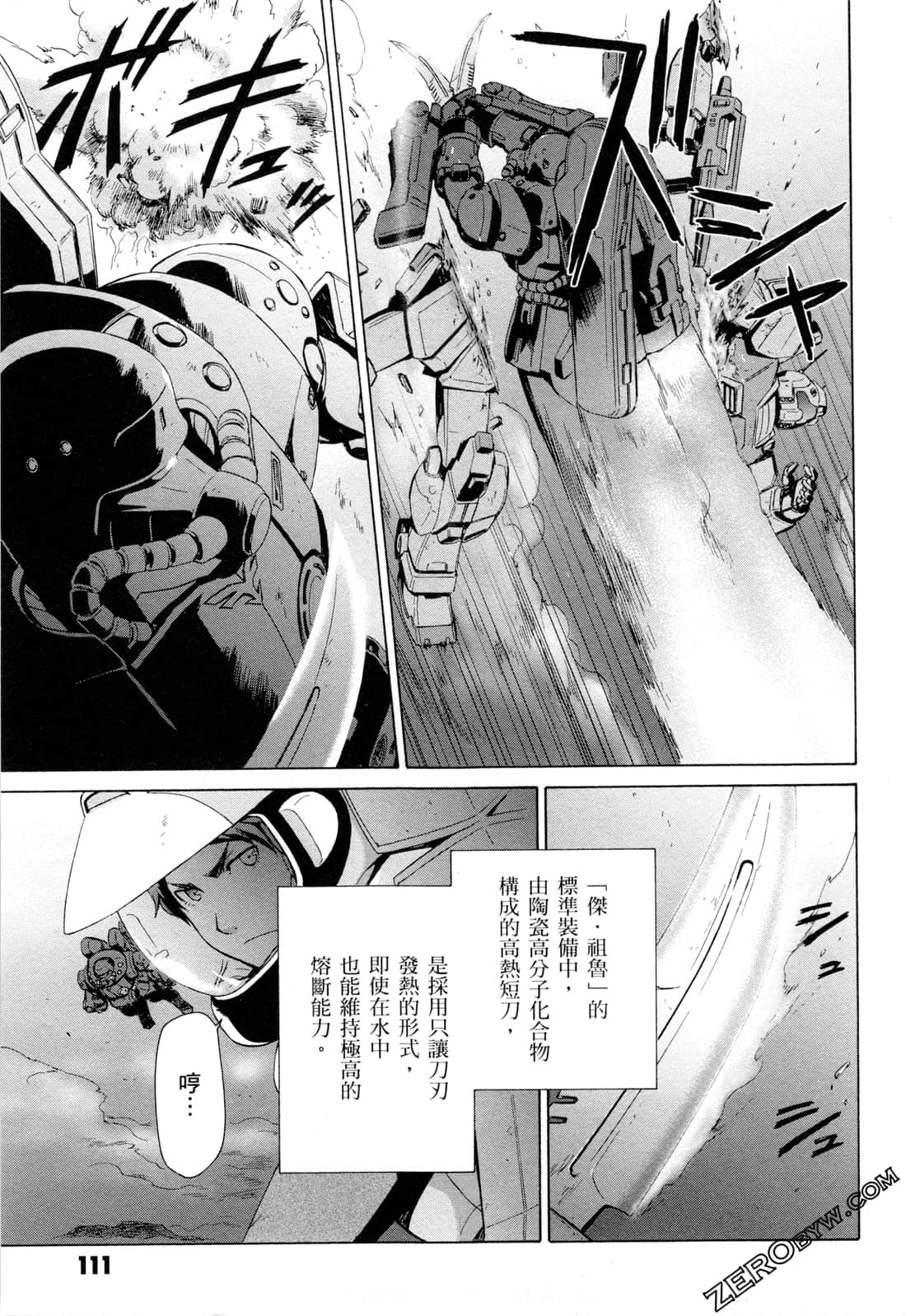 Page 113