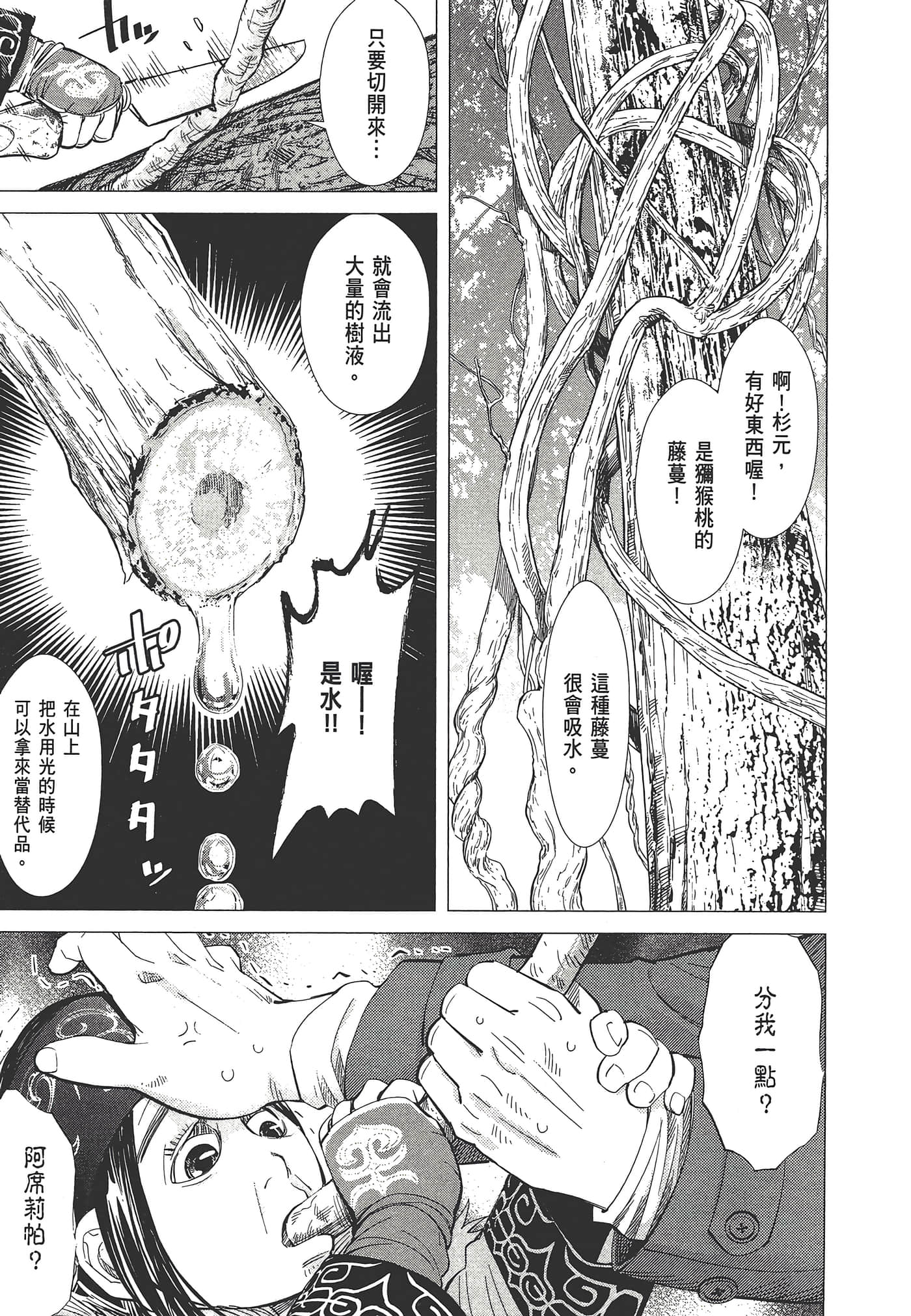 第 85 页