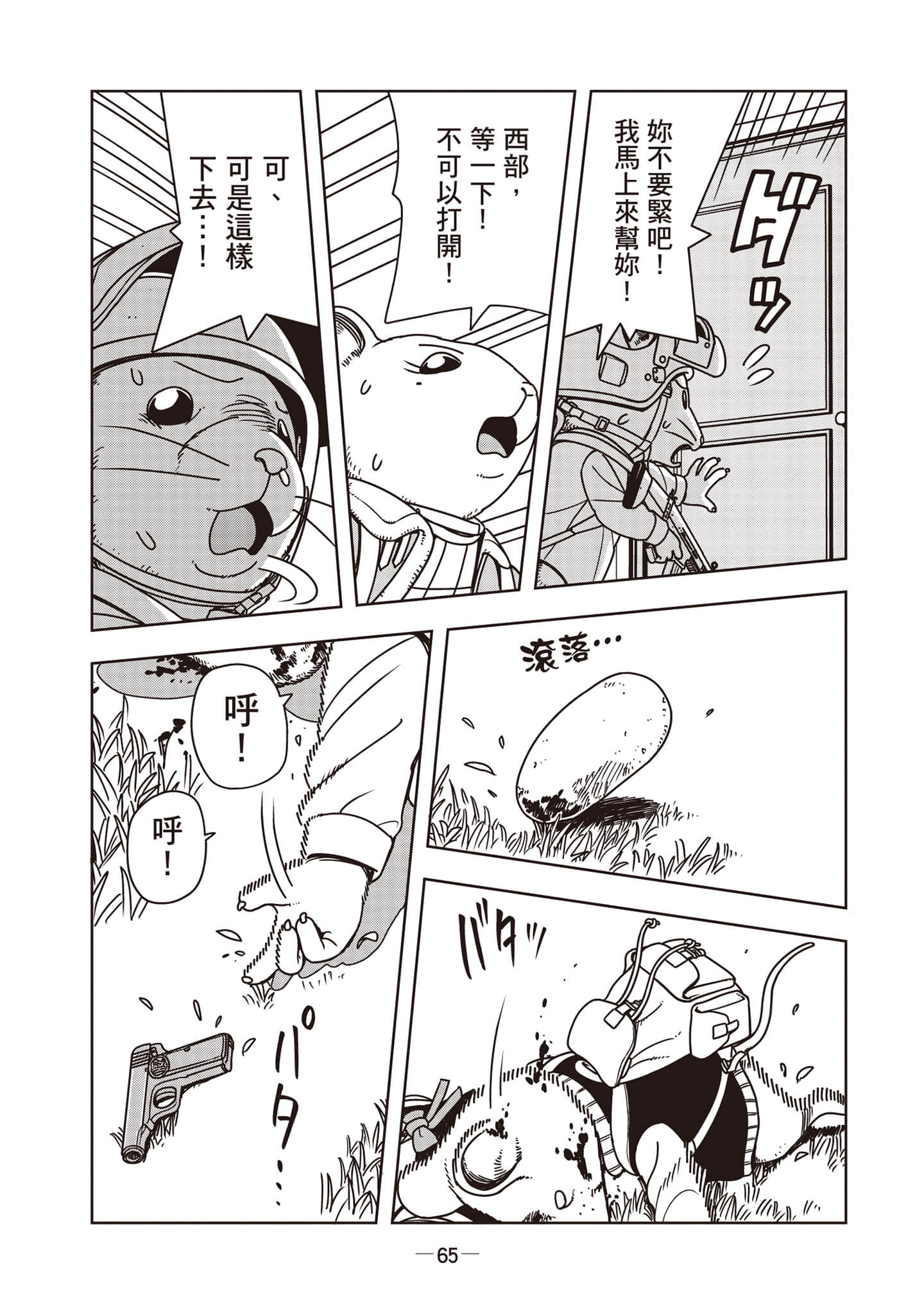Page 66