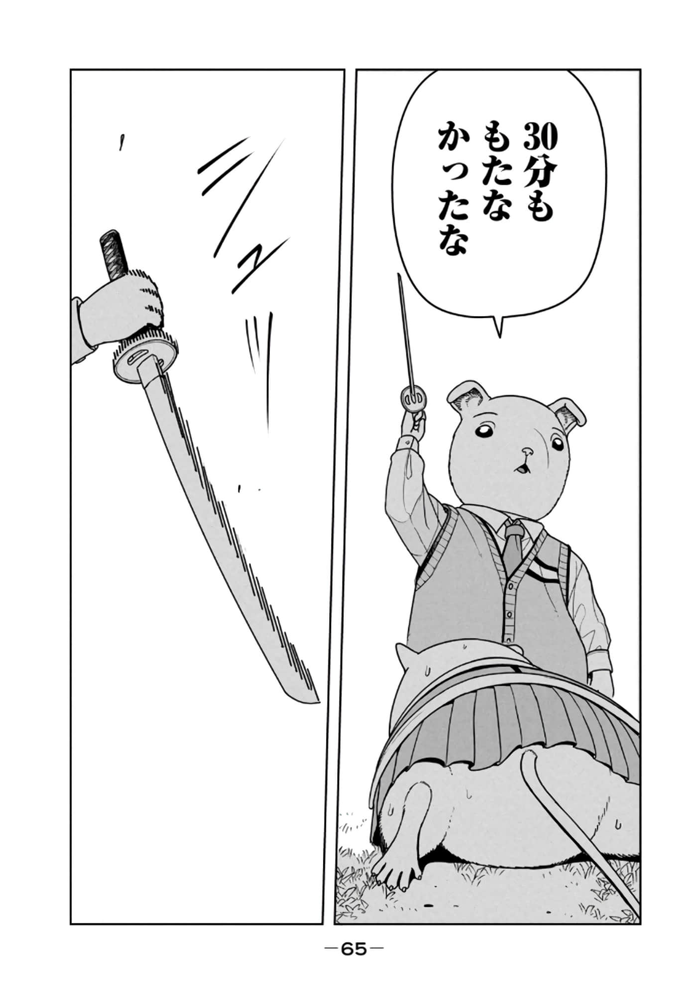 Page 67
